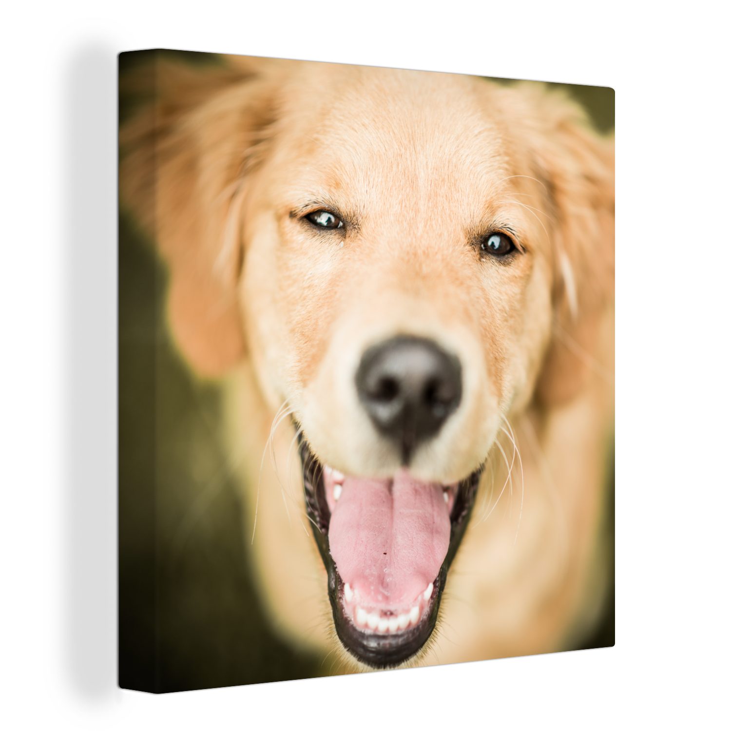 OneMillionCanvasses® Leinwandbild Das Glitzern in den Augen dieses Labrador Retrievers, (1 St), Leinwand Bilder für Wohnzimmer Schlafzimmer
