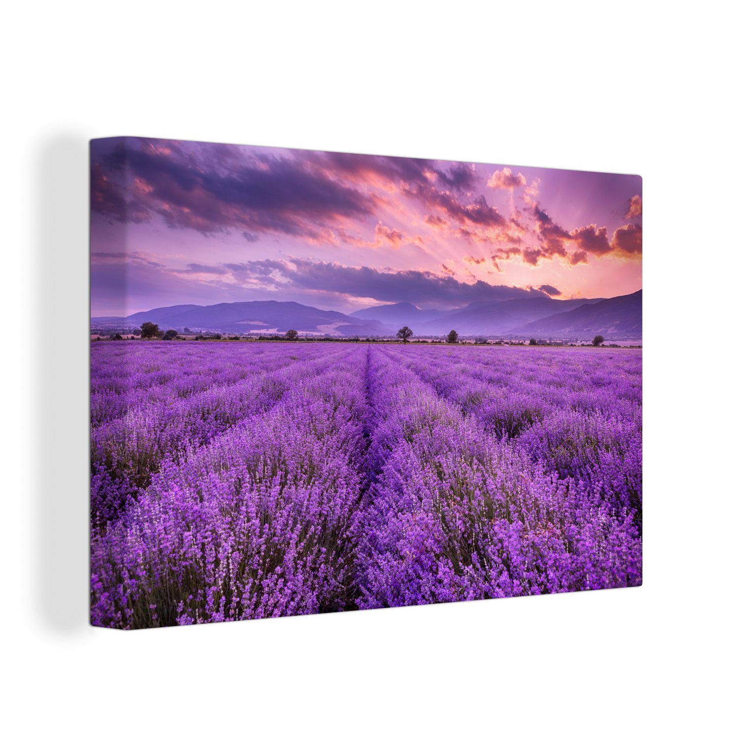 - Blumen (1 cm Lila Feld, Wandbild - Wanddeko, 30x20 Leinwandbilder, St), - OneMillionCanvasses® Leinwandbild Aufhängefertig, Lavendel