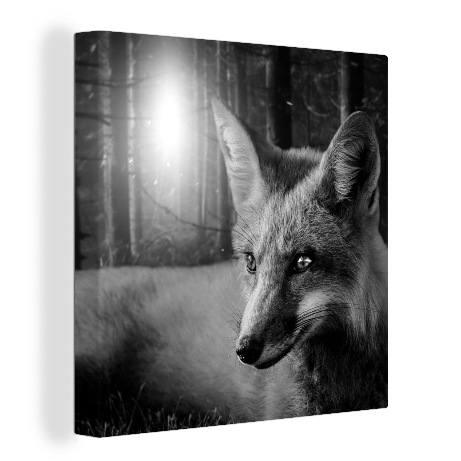 OneMillionCanvasses® Leinwandbild Tiere - Fuchs - Wald - Schwarz - Weiß, (1 St), Leinwand Bilder für Wohnzimmer Schlafzimmer