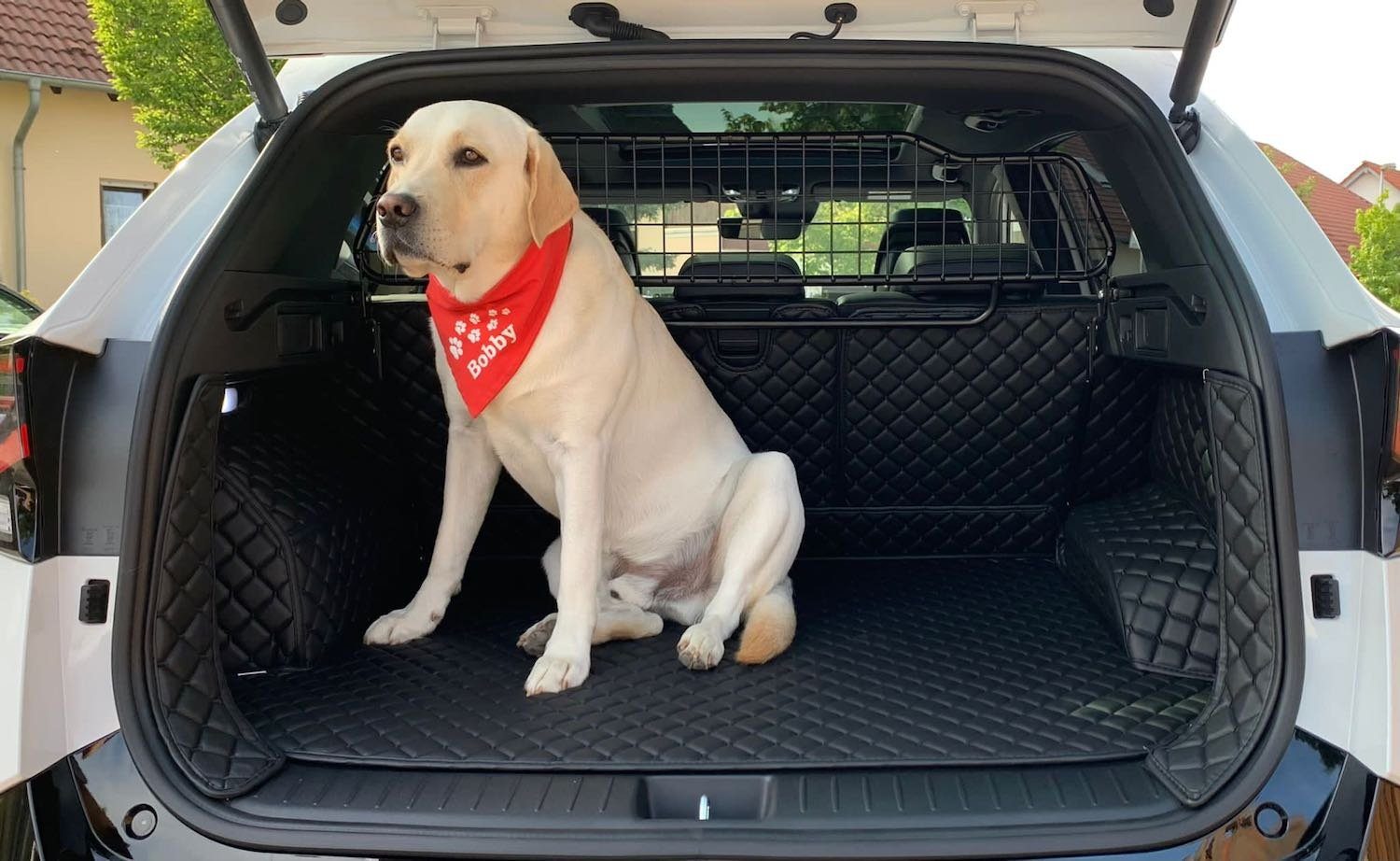 Auto Kofferraumschutz Hundematte