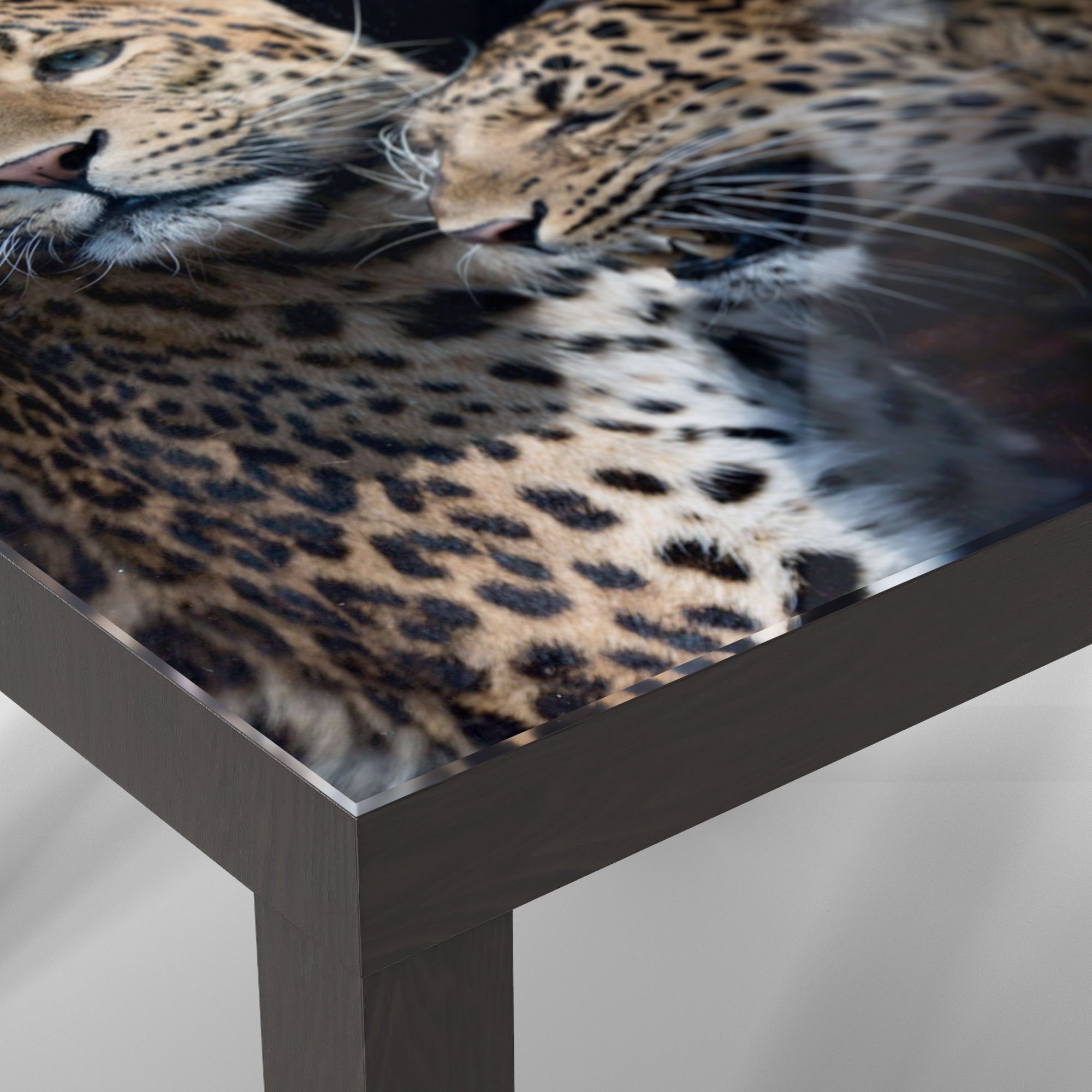 modern Leopardenpaar', Glastisch Schwarz DEQORI Couchtisch Beistelltisch 'Seltenes Glas