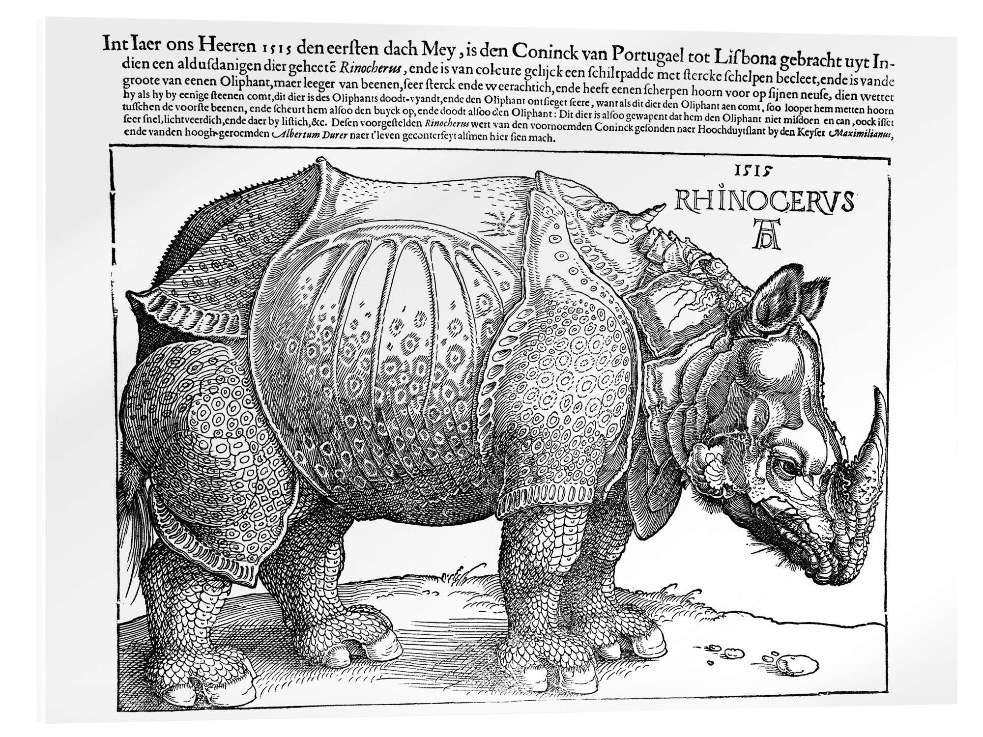 Acrylglasbild Albrecht Dürer