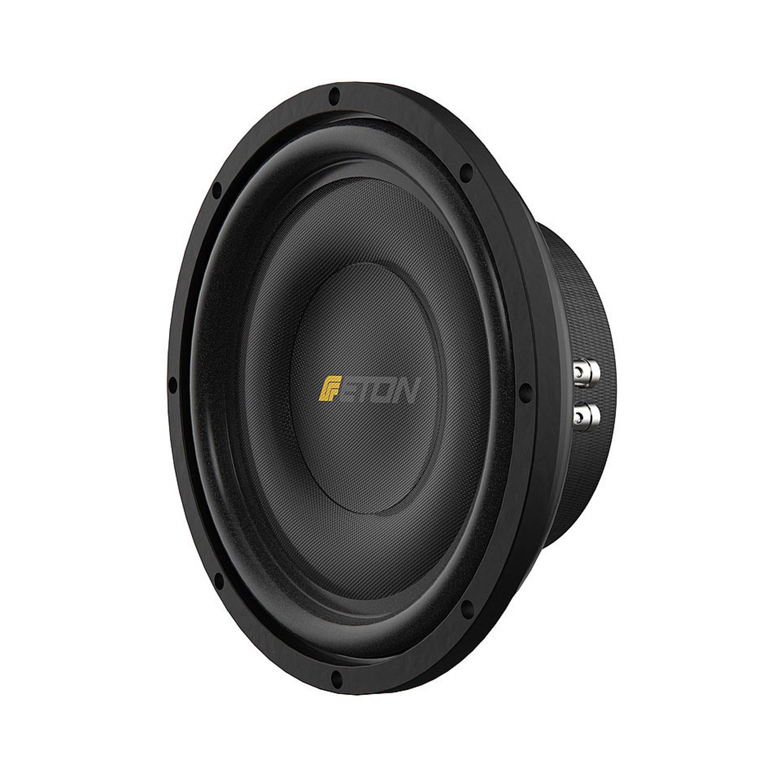 Eton M10 FLAT 25cm Subwoofer Chassis super flach Auto-Subwoofer (300 W, max.: W 25 cm)