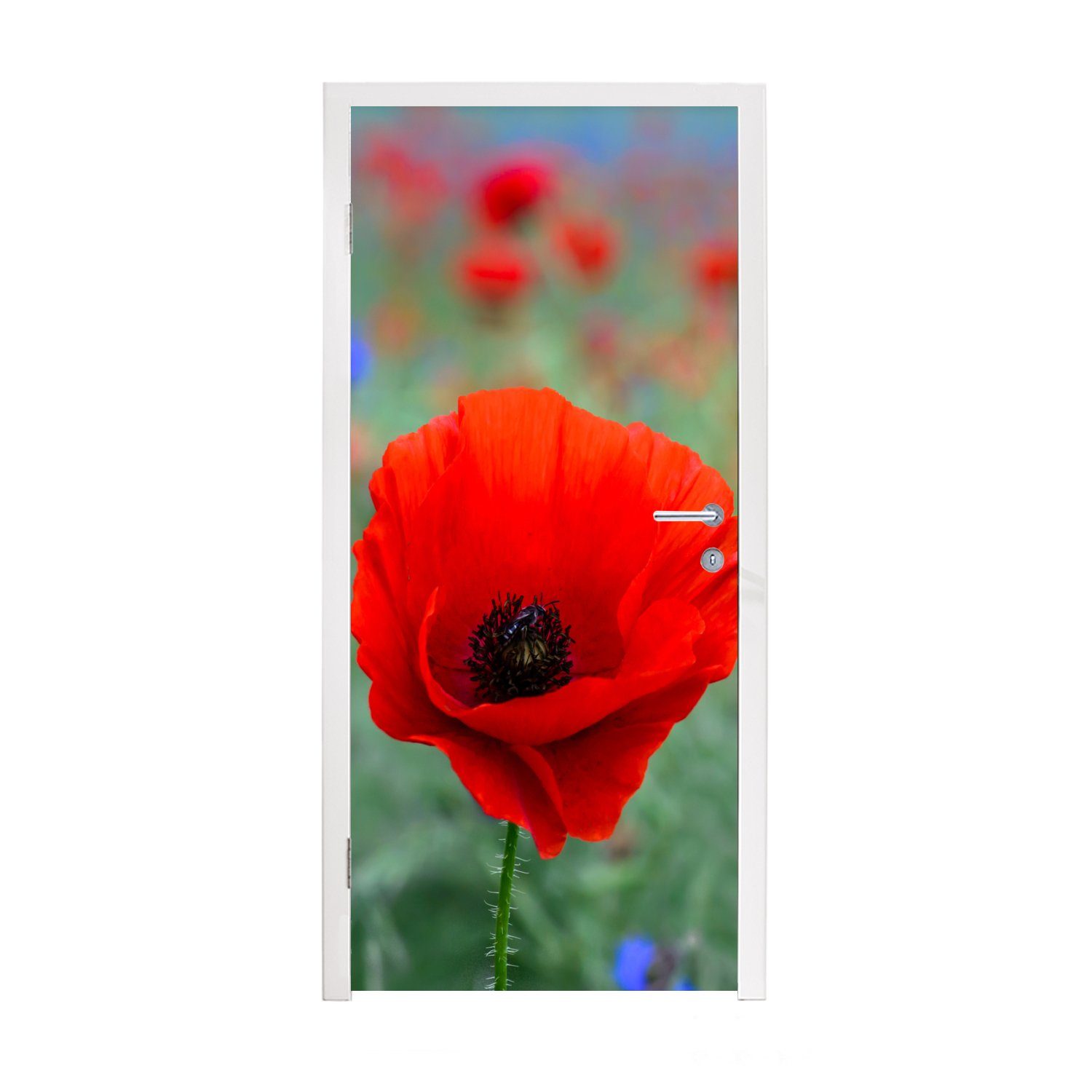 MuchoWow Türtapete Lila und rote Mohnblumen auf einer Wiese, Matt, bedruckt, (1 St), Fototapete für Tür, Türaufkleber, 75x205 cm