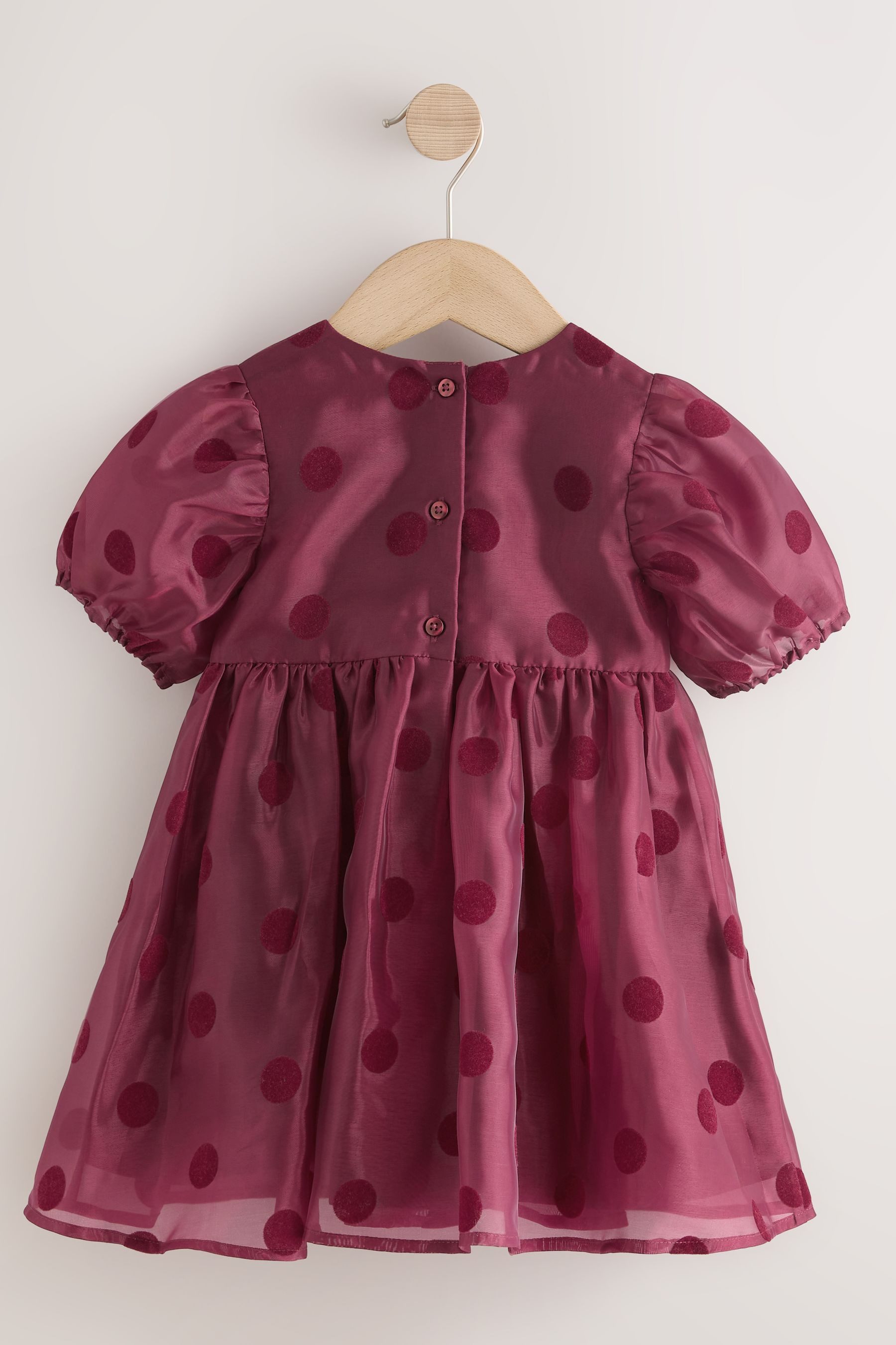 Next Partykleid Festliches Kleid mit Puffärmeln und Schleife (1-tlg) – Bild 5 von 5