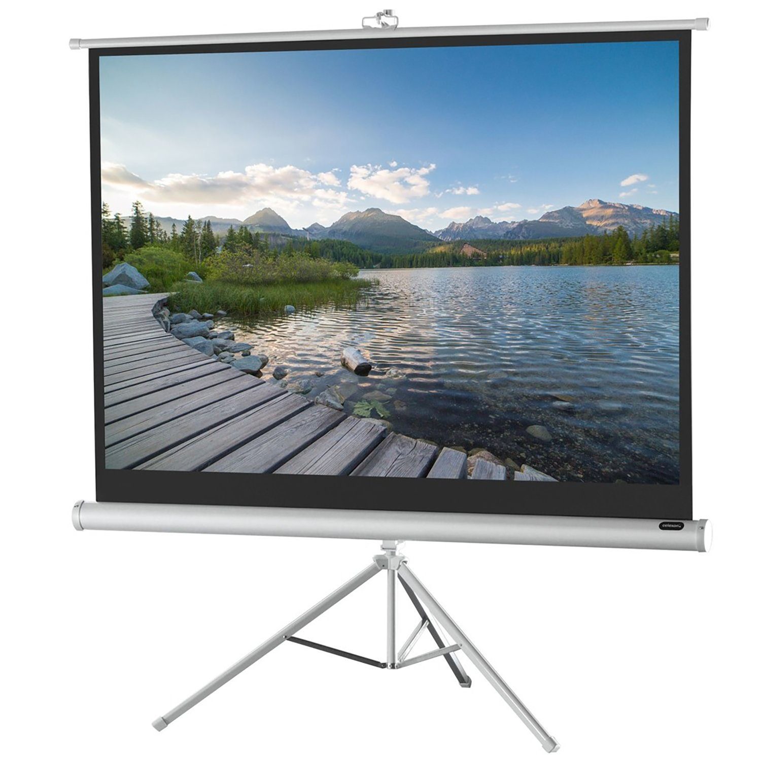 Celexon Economy White Edition Stativleinwand (black_backside)