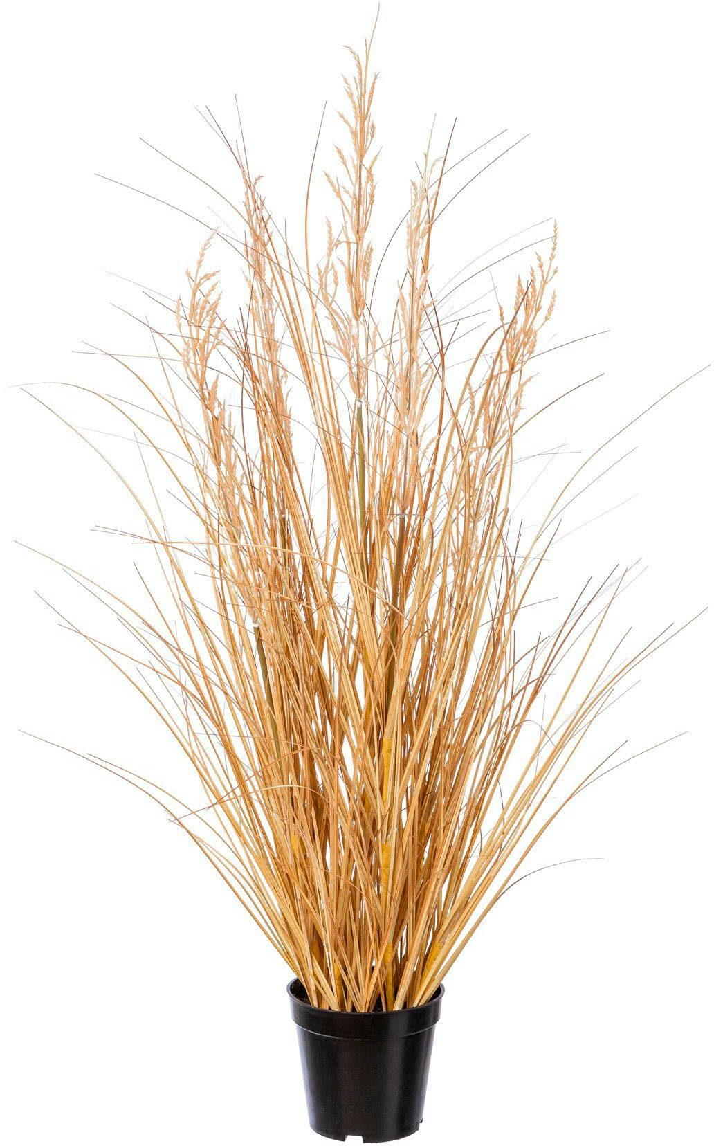 Kunstgras Grasbusch Carex Gras, Creativ green, Höhe 89 cm günstig online kaufen