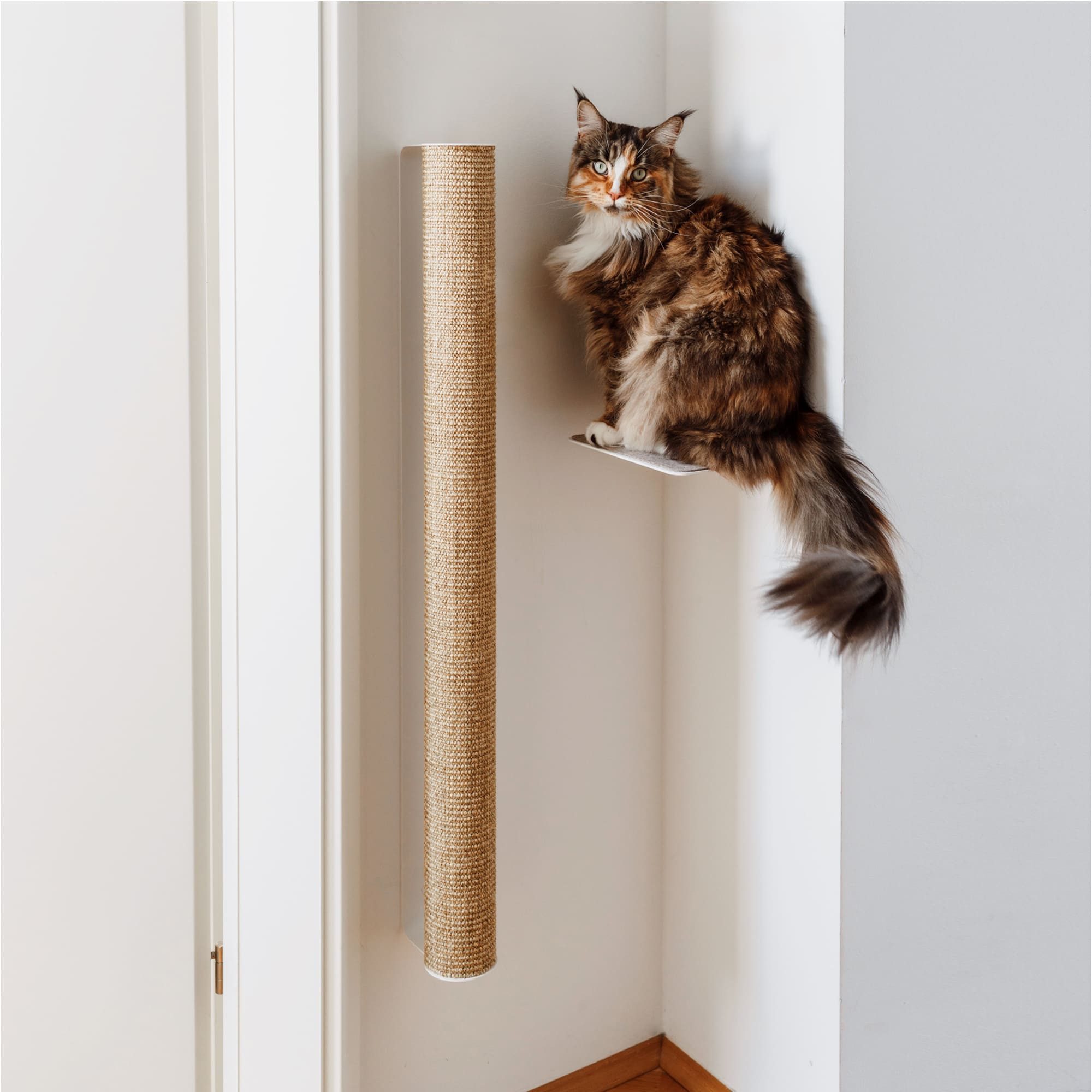 LucyBalu Kratzsäule CATWALK Kratzstamm, (für Katzen, zur Krallenpflege), Kratzstamm austauschbar