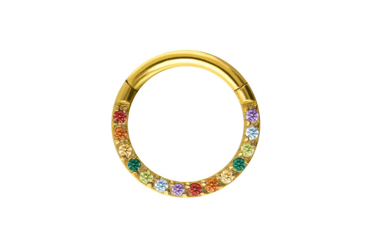 Nasenpiercing Titan Segmentring Clicker EINGEFASSTE BUNTE KRISTALLE Ohrpiercing