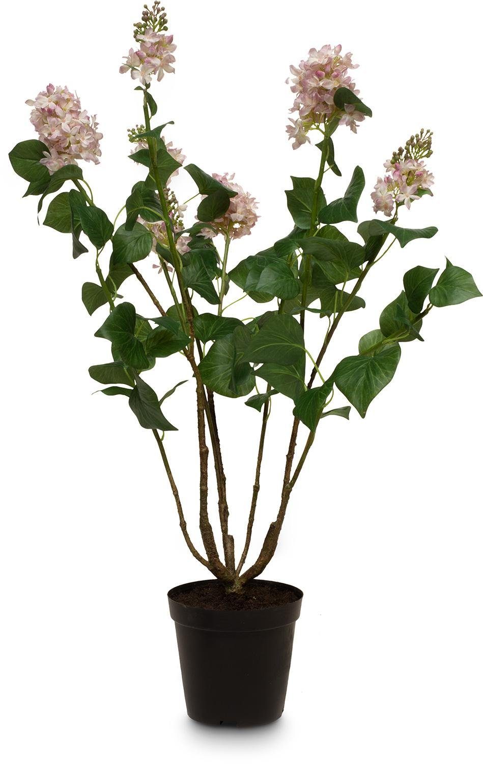 Kunstpflanze Flieder - Syringa vulgaris Kunstpflanze Höhe 79 cm, fleur ami, Höhe 79 cm