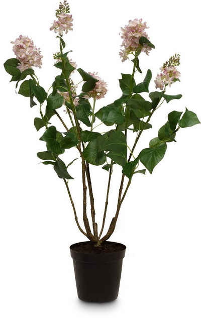 Kunstpflanze Lilac Kunstpflanze Höhe 79 cm Lilac, fleur ami, Höhe 79 cm