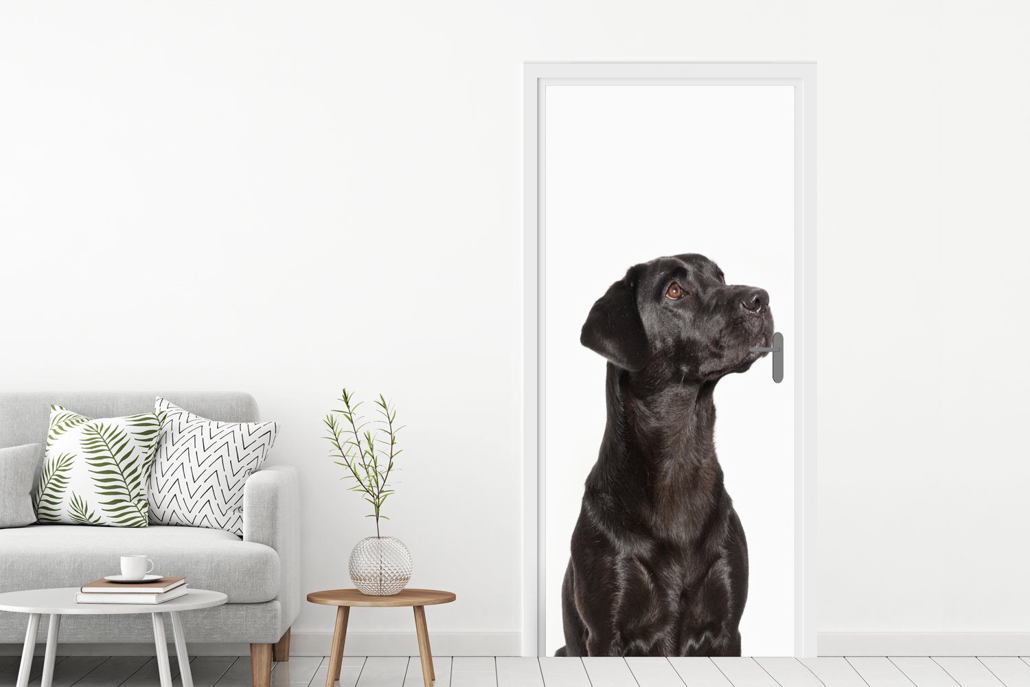 MuchoWow Türtapete Hunde schauen auf, Tür, St), für Türaufkleber, Fototapete cm Matt, (1 75x205 bedruckt