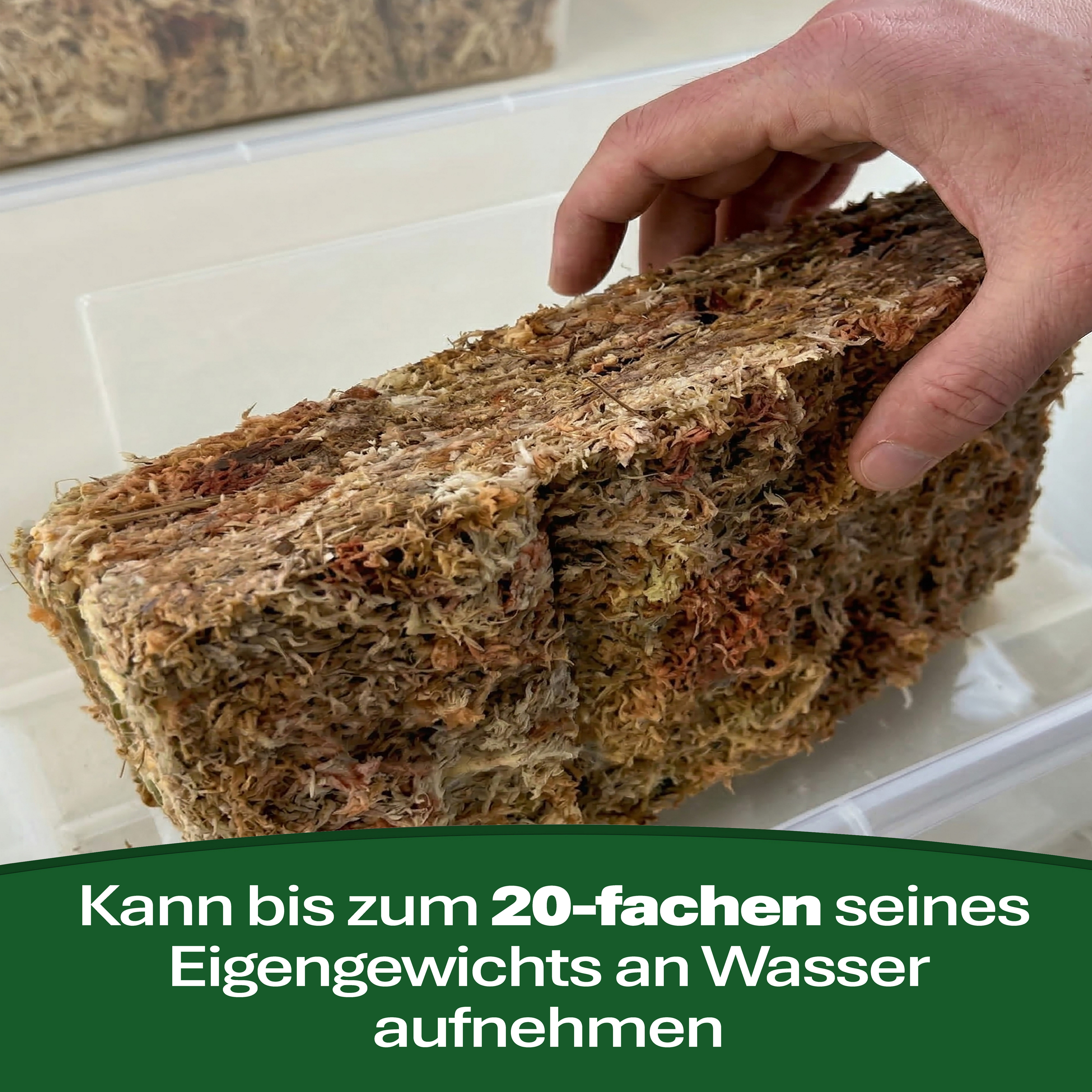 sphagnum-shop.com Terrarien-Substrat Sphagnum Moos Moosziegel aus Chile für Terrarium und Orchideen, Chilenische Premium-Qualität, Ideal für Pflanzenpflege & Te – Bild 5 von 5