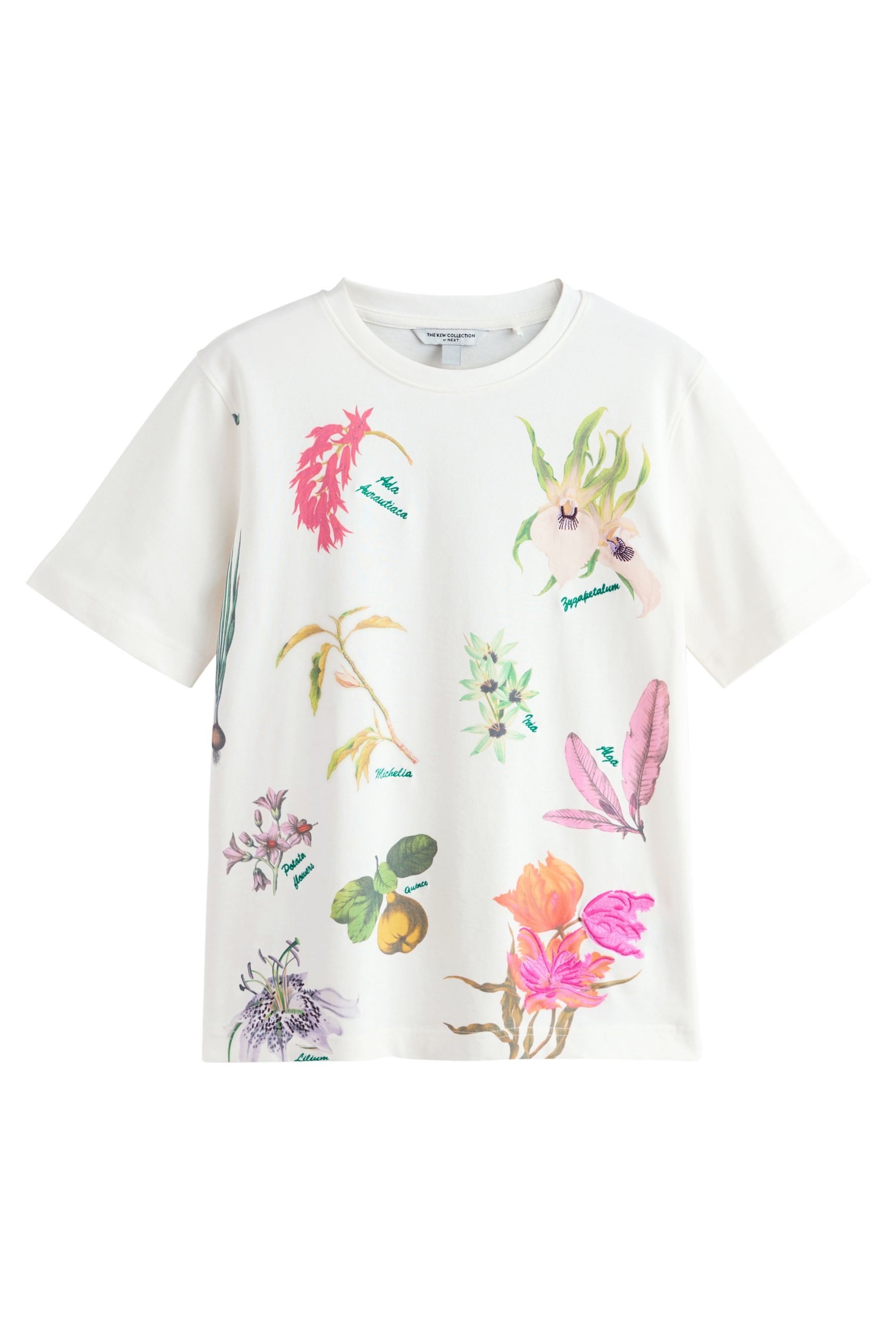 T-Shirt Lizenziertes Kurzarm-T-Shirt, Kew Gardens