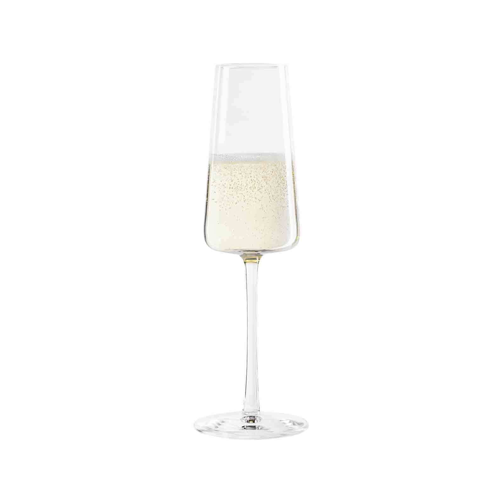 Stölzle Champagnerglas Power Champagnergläser 240 ml 6er Set, 6-tlg., Glas