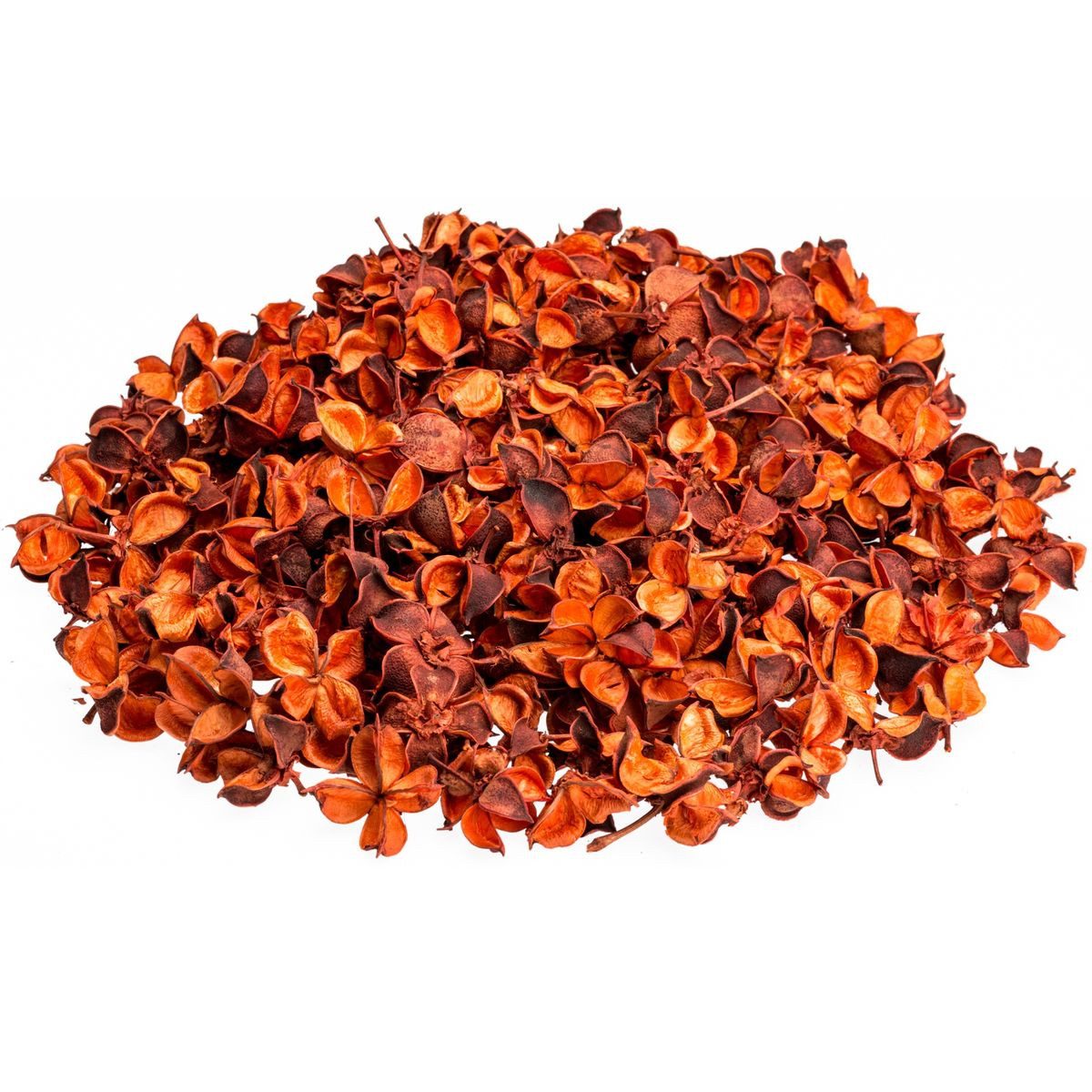 NaDeco Bastelnaturmaterial Cotton Pods in Orange, ca. 250g, Größe ca. 2-3cm Baumwoll Knospen