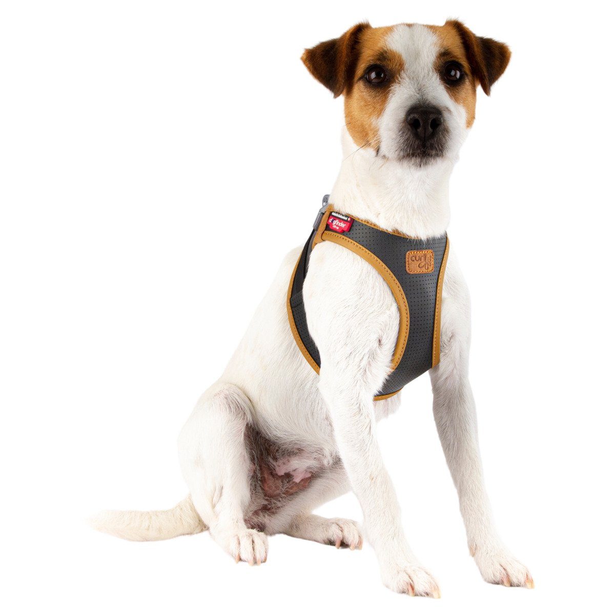 Curli Hunde-Geschirr Apfel Leder Geschirr schwarz günstig online kaufen