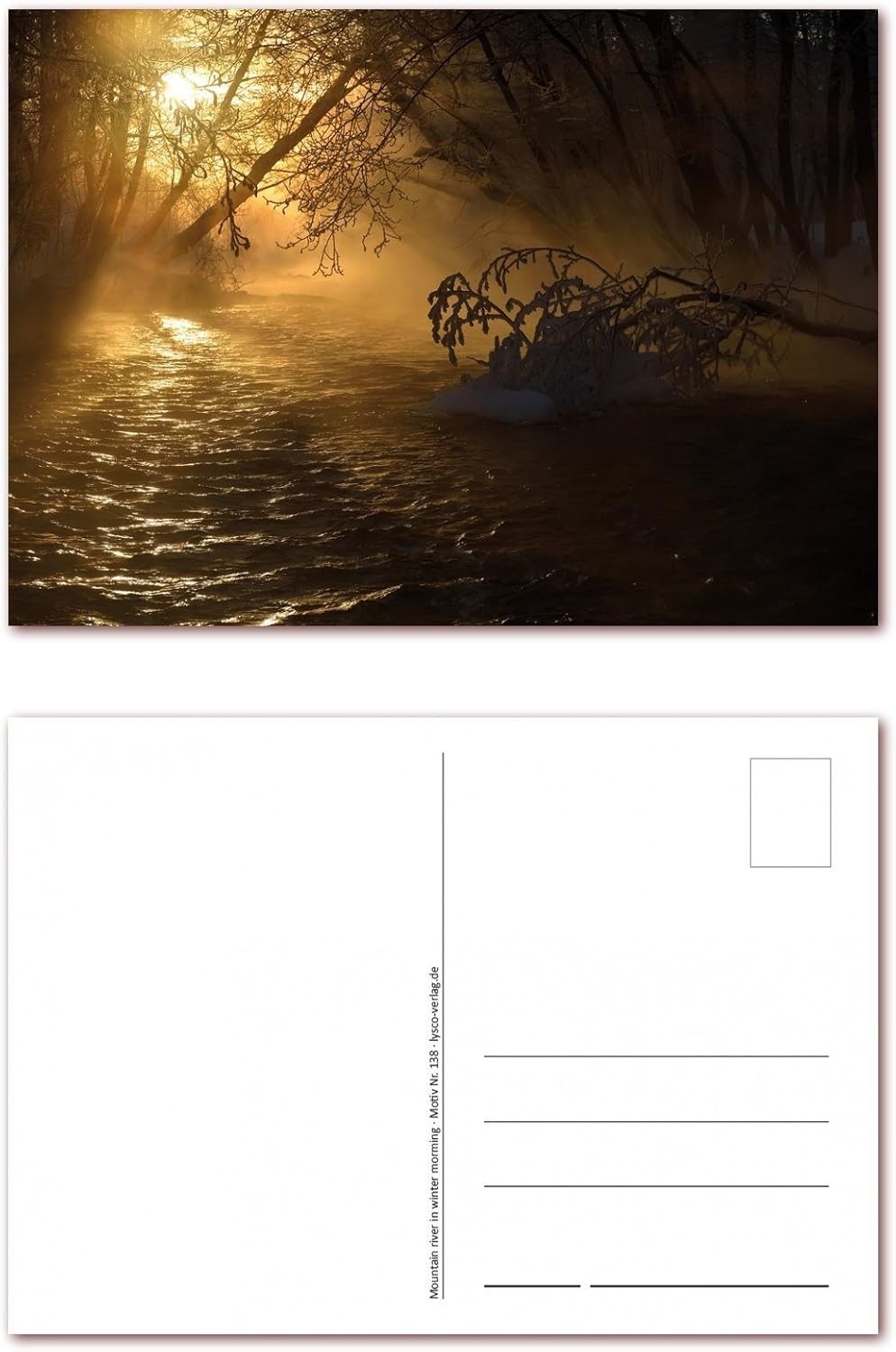 LYSCO Ansichtskarte Postkarten Wald Natur Landschaft DIN A6 (105 x 148 mm), besonders gut beschreibbar mit allen Schreibmaterialien