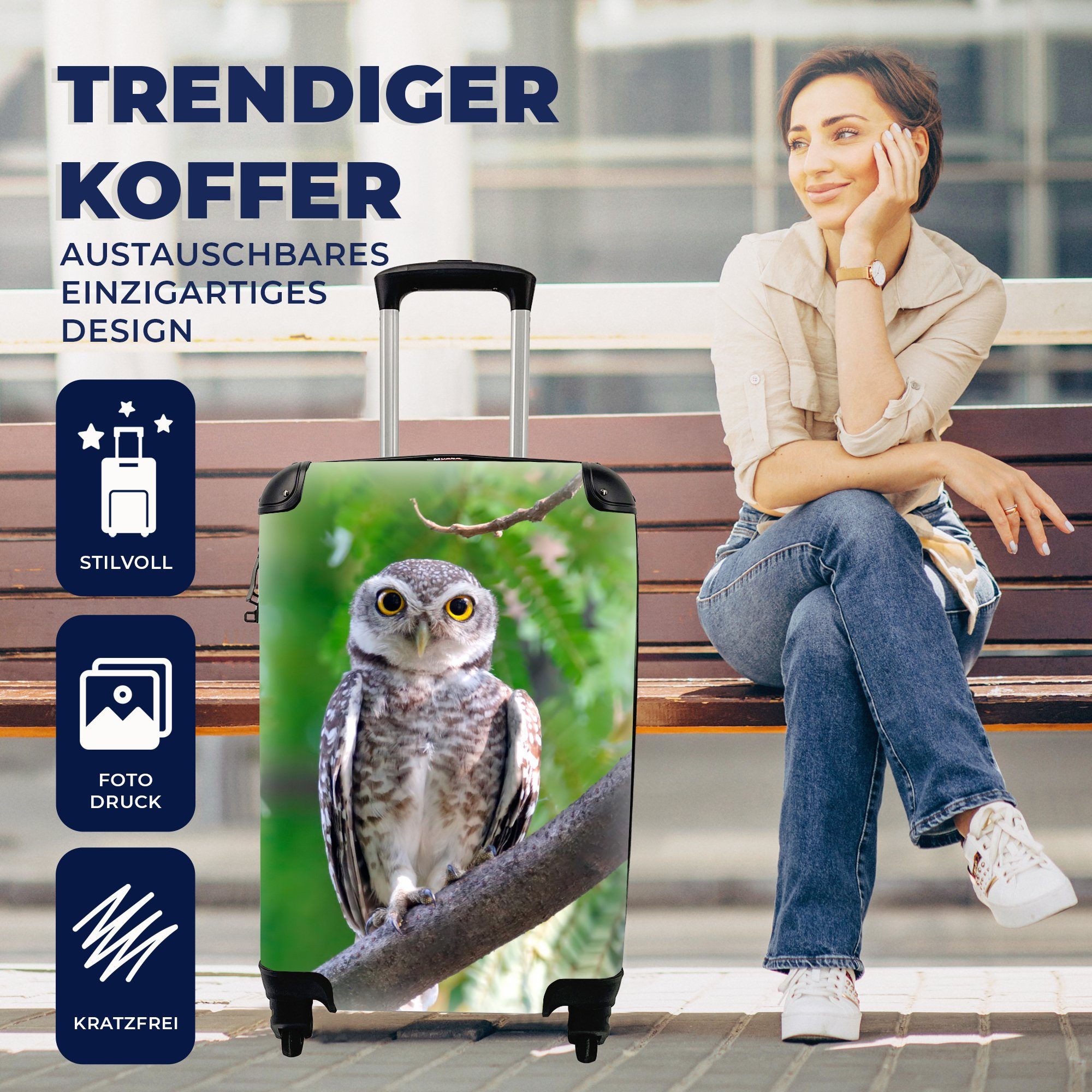 MuchoWow Ferien, rollen, Reisekoffer Reisetasche für Ast mit sitzend, 4 Eule Trolley, Handgepäck auf Handgepäckkoffer Rollen,