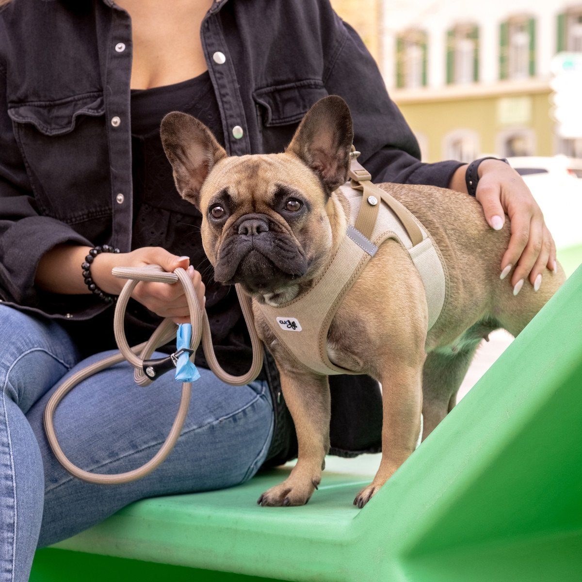 Curli Hunde-Geschirr Clasp Vest Geschirr Cord tan