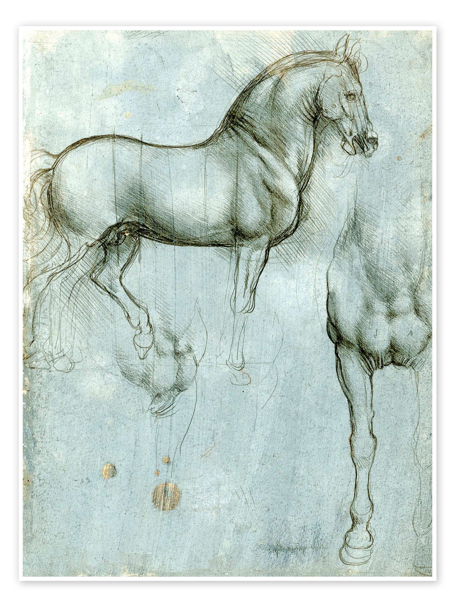 Posterlounge Wandbild Studie von Pferden, Leonardo da Vinci, erhältlich als Poster, Leinwandbild, Wandsticker oder Acrylglasbild