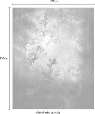Komar Vliestapete Enlightenment, (1 St), 200x250 cm (Breite x Höhe), Vliestapete, 100 cm Bahnbreite