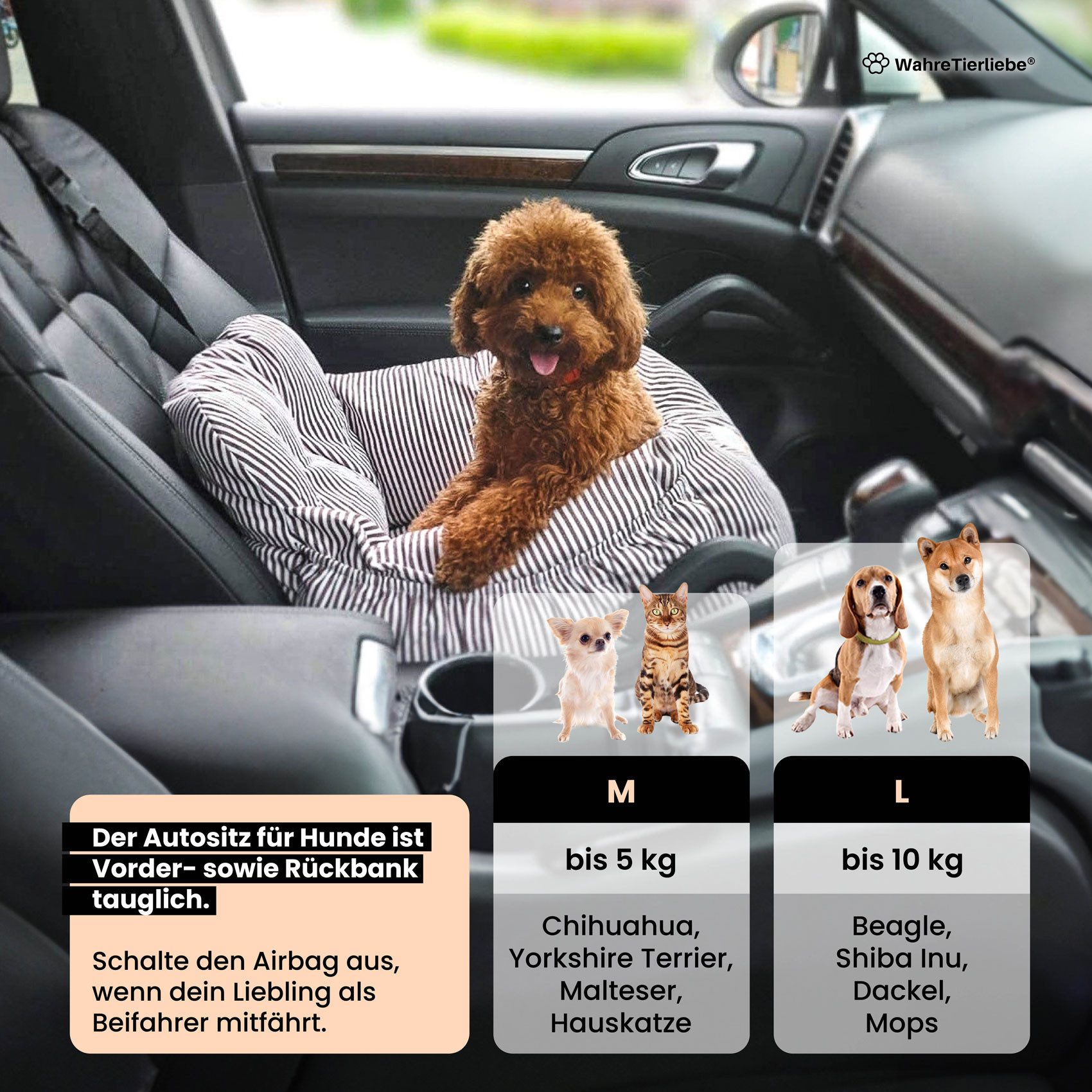 Wahre Tierliebe Hunde-Transportbox Premium Hunde Autositz inkl. Sicherheitsgurt bis 12,00 kg, Verschiedene Größen, Verschiedene Farben