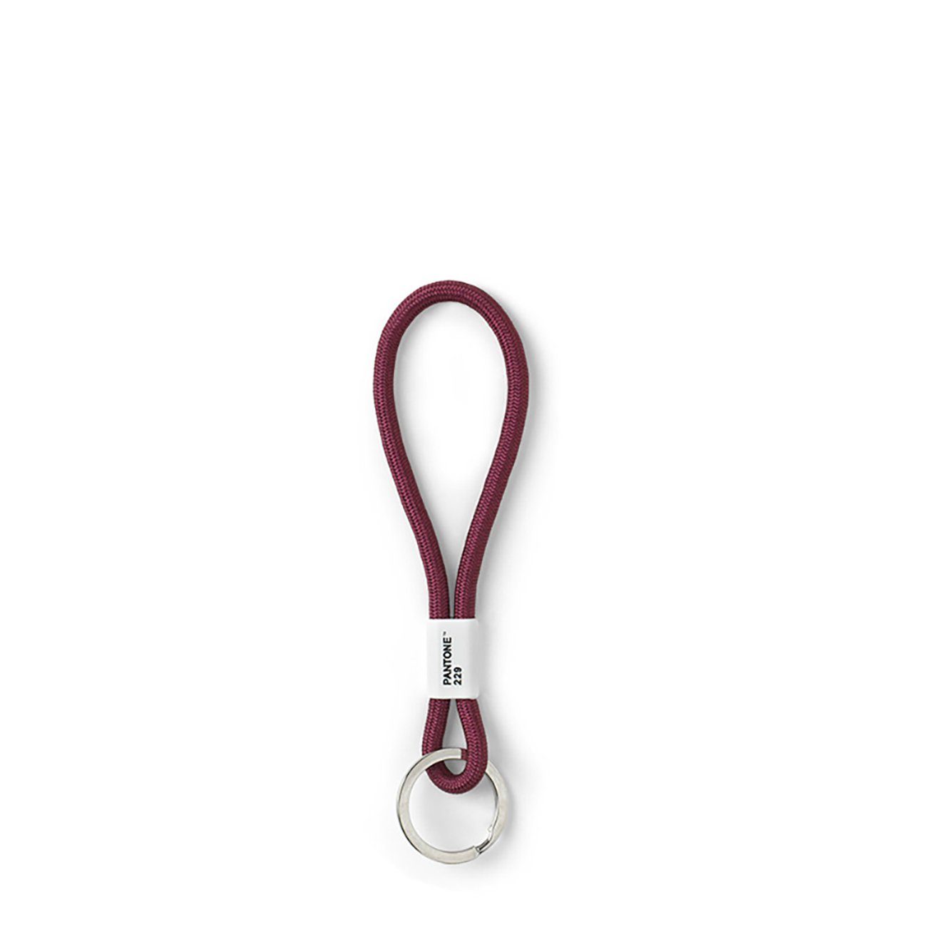PANTONE Schlüsselanhänger, Design- Schlüsselband, Key Chain, günstig online kaufen