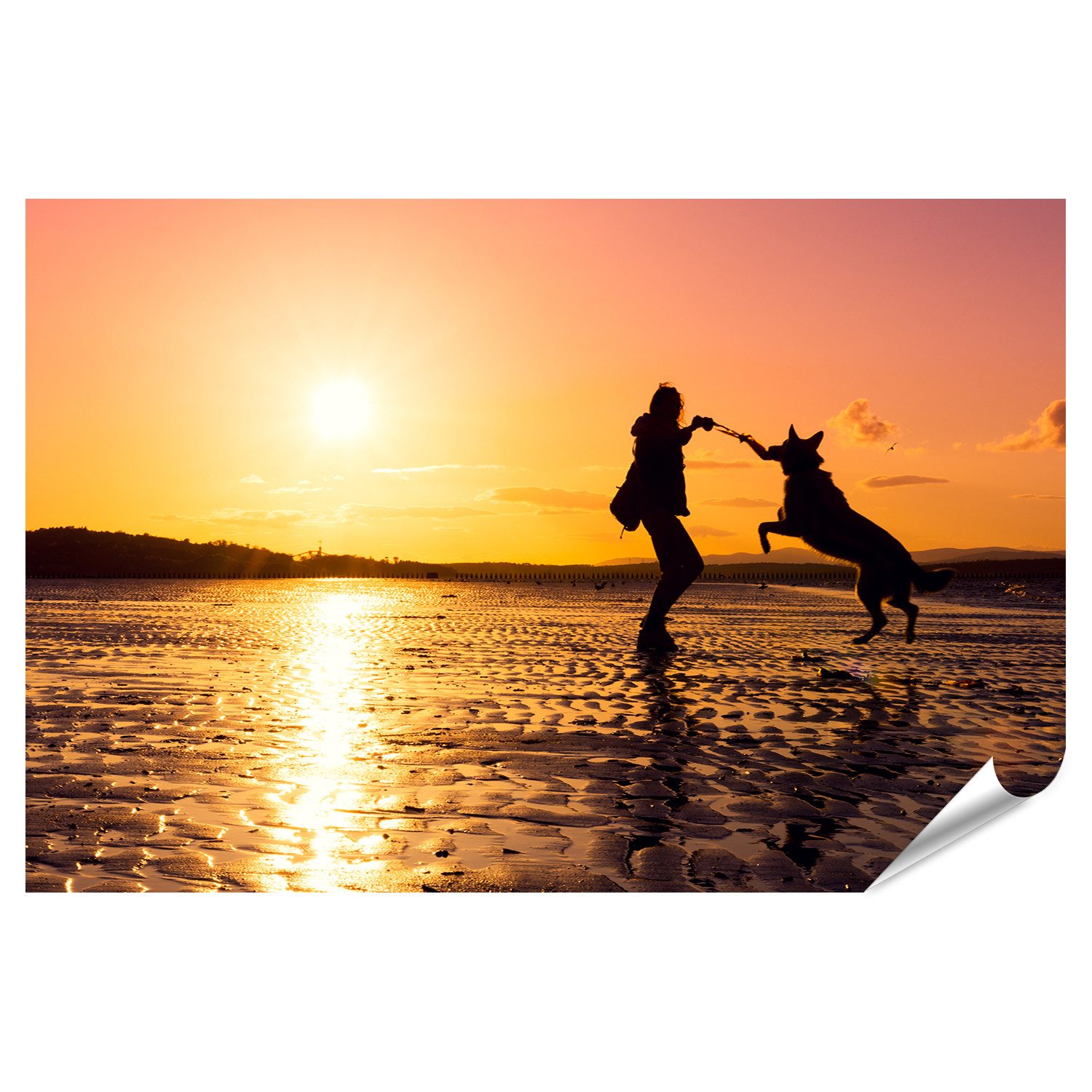 islandburner Poster Hipster Mädchen Spielt Hund Strand Sonnenuntergang Silhouett Bilder