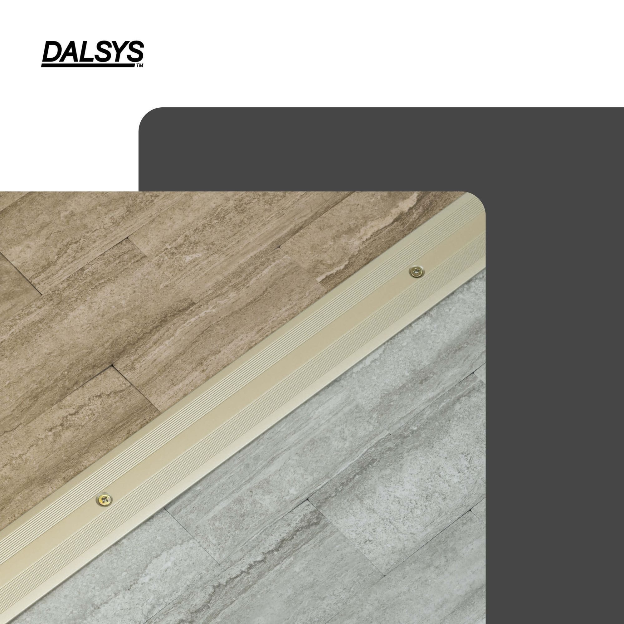 Dalsys Übergangsprofil Profil flach aus Aluminium (90 cm, Champagner, 1-St), Für 8 mm Belagsstärke, aus eloxiertem Aluminium – Bild 3 von 5