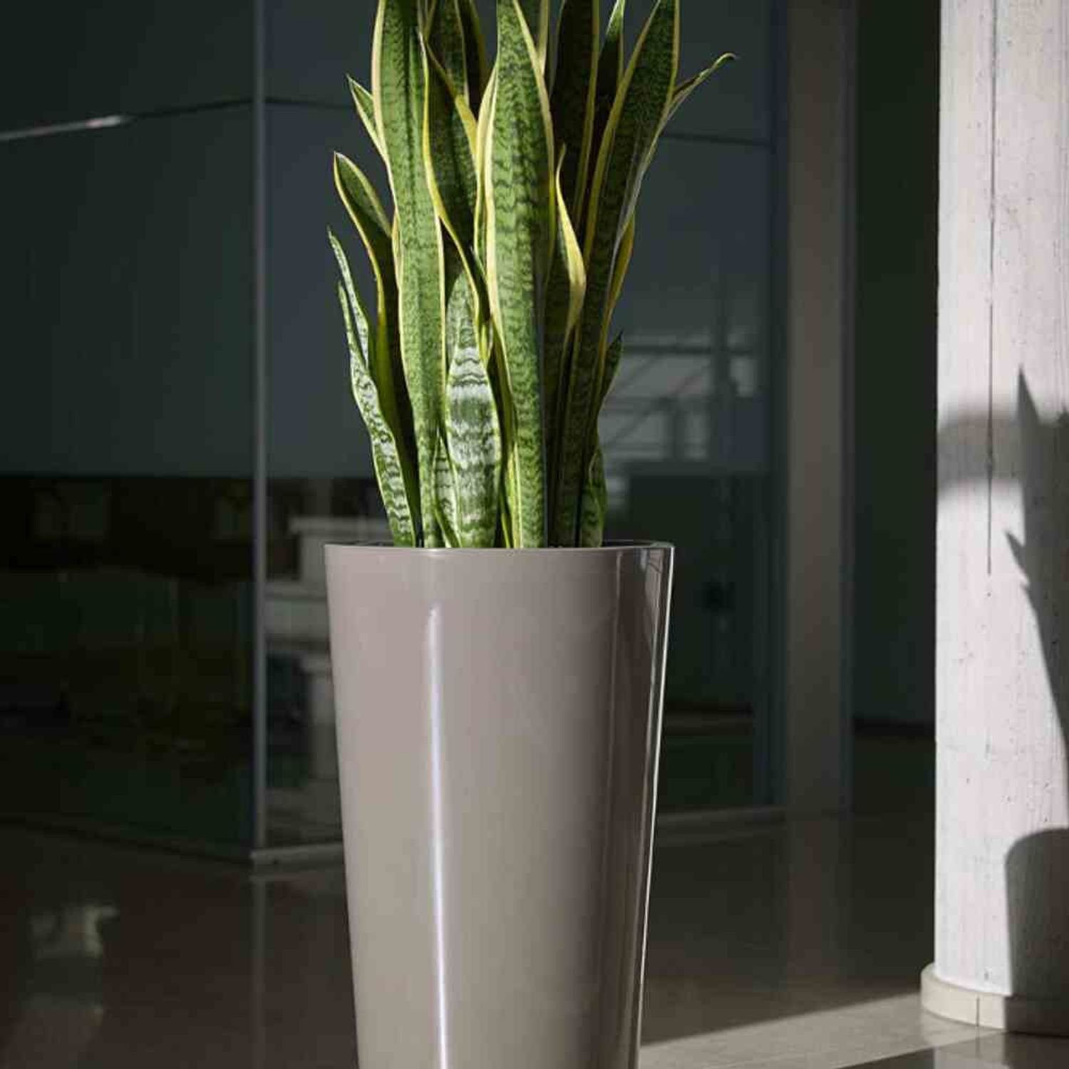 euro3plast Pflanzkübel Pflanztopf TUIT 33 cm taupe