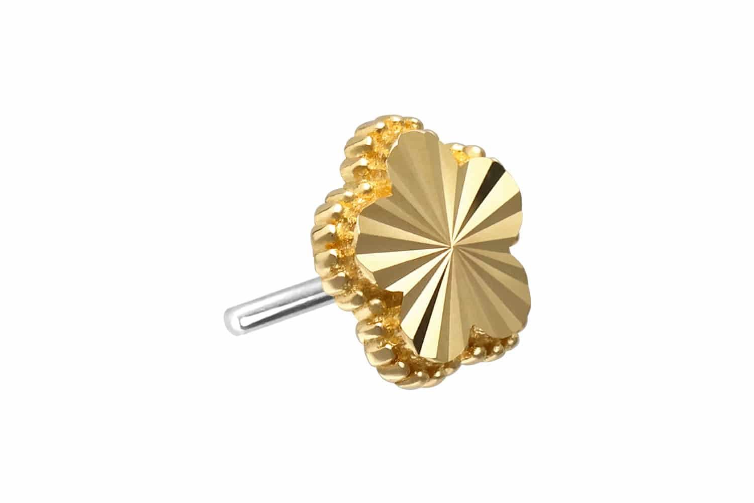 Piercing-Set 14 Karat Gold Aufsatz mit Titan Push Pin BLUME