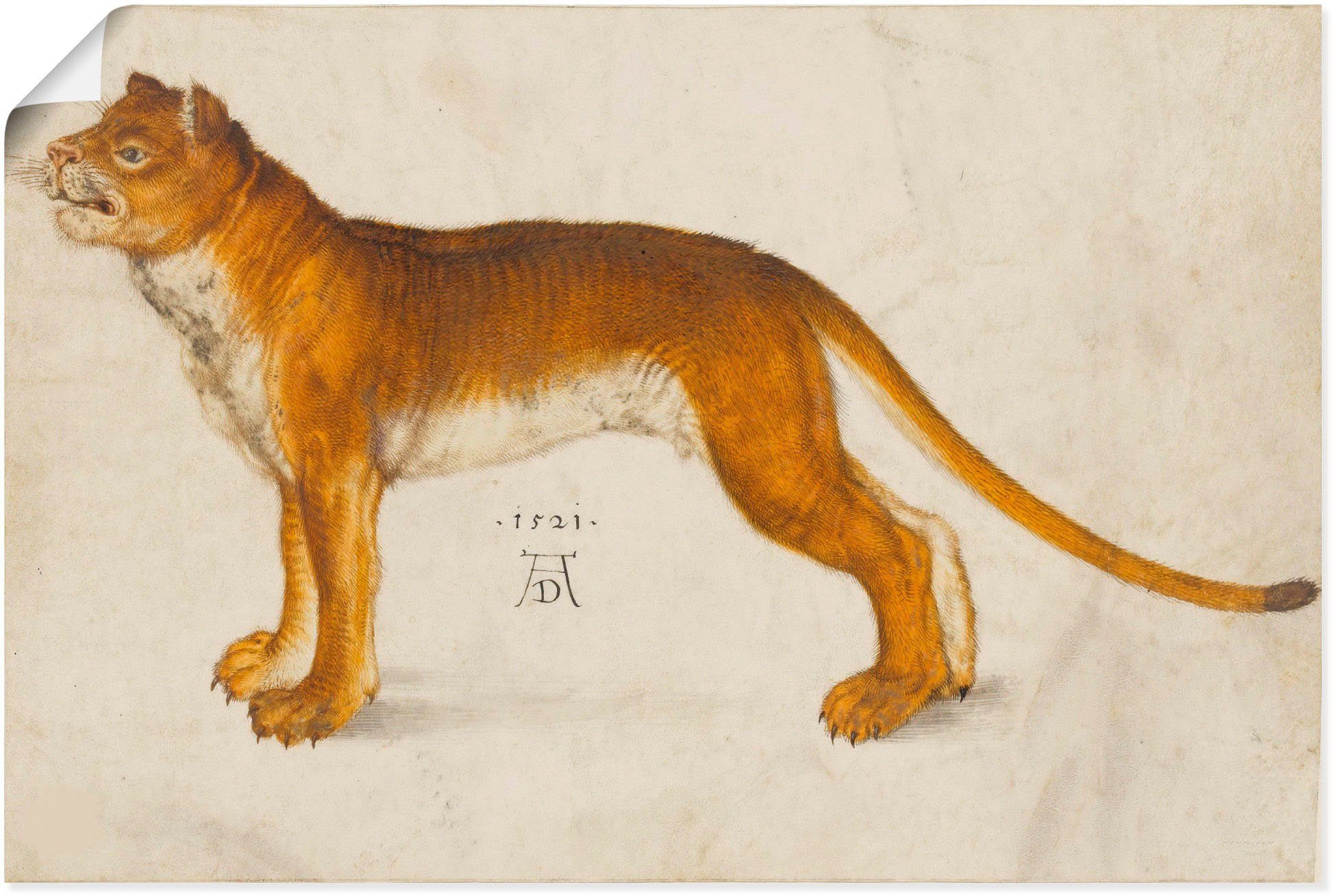 oder Poster Löwin. (1 Alubild, in Größen Wandaufkleber versch. Raubkatzen Artland Wandbild St), Leinwandbild, 1521, als