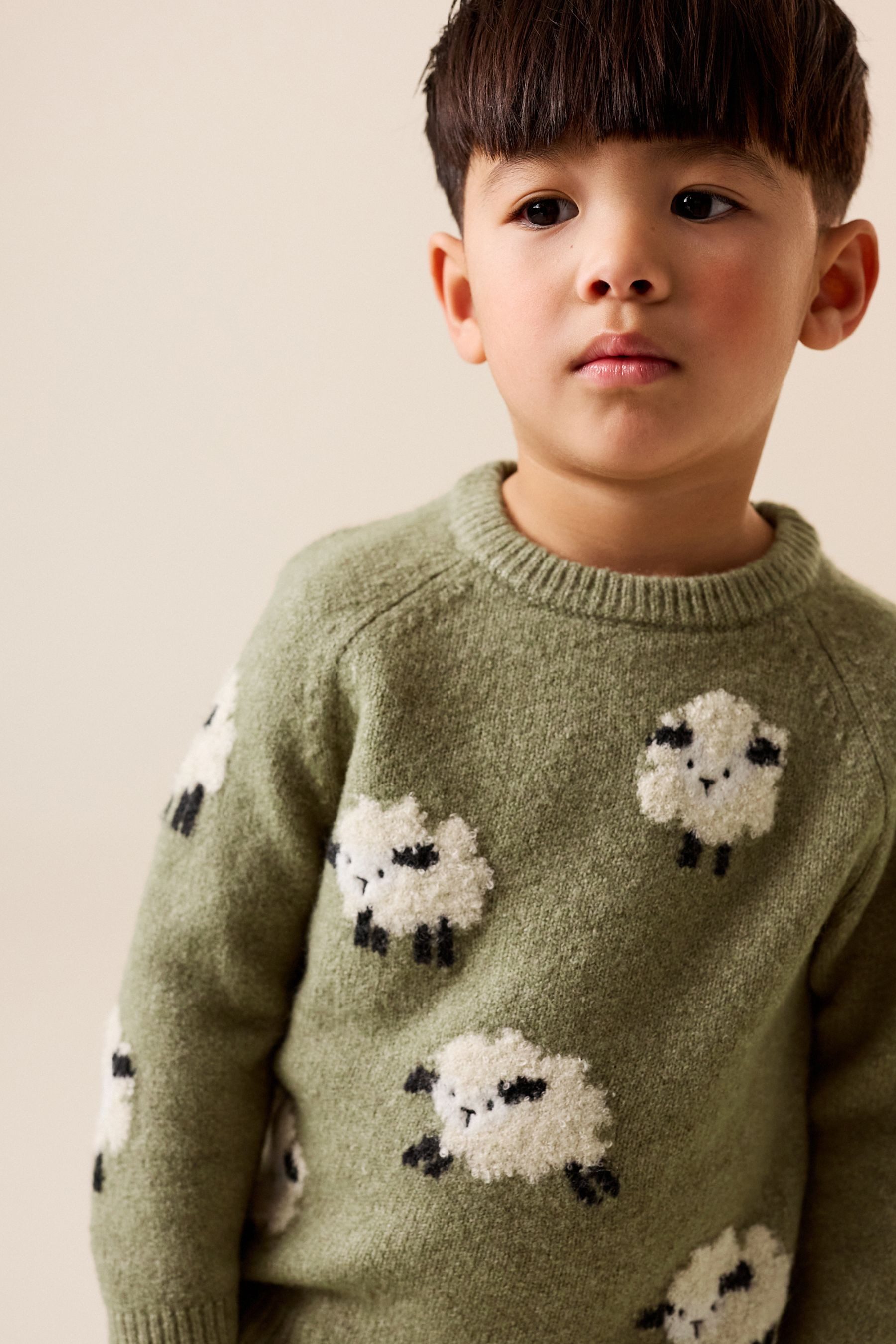 Next Strickpullover Gestrickter Rundhalspullover (1-tlg)
