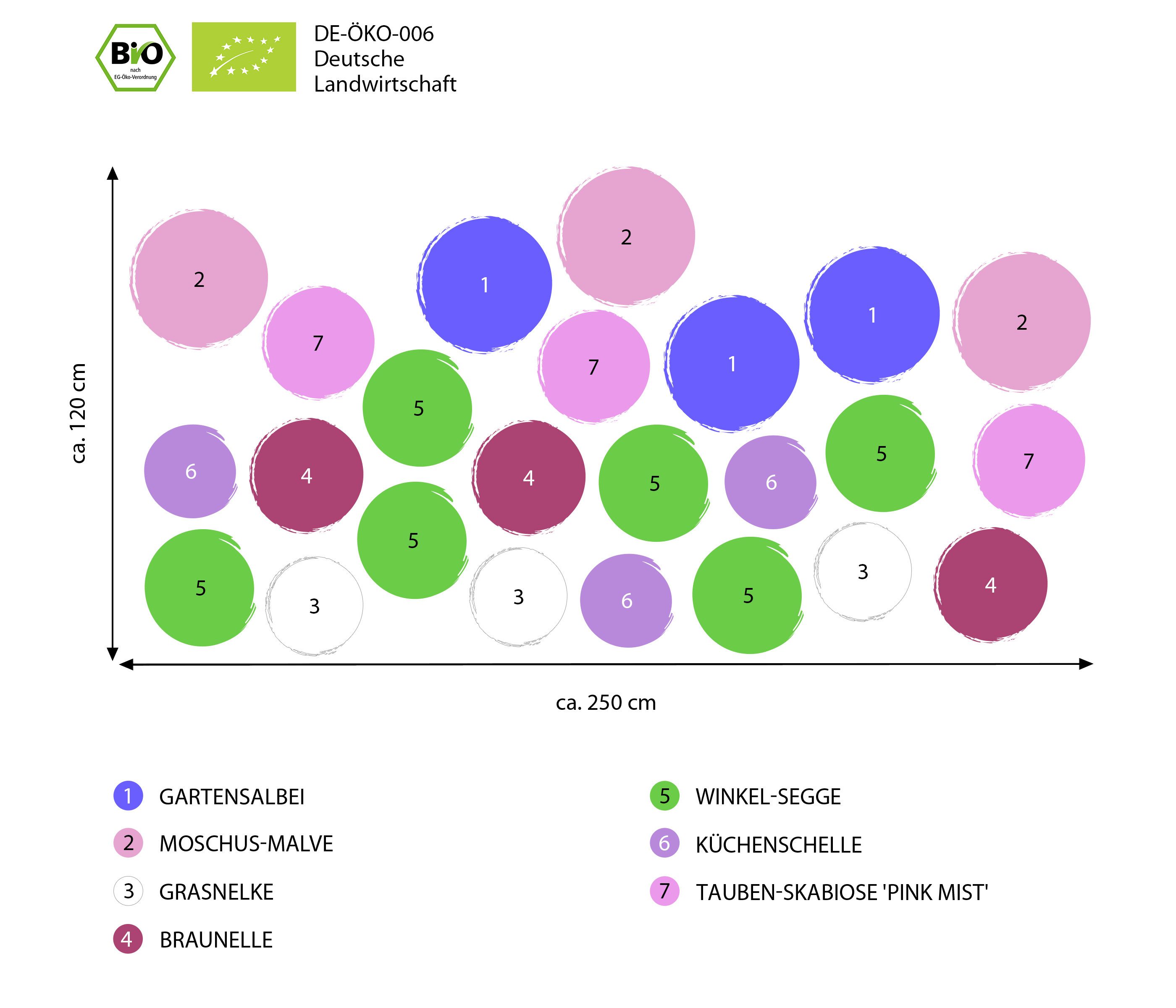 Dehner Staude Bio Stauden-Set Heimatgarten, je 5-20 cm, Ø Topf je 9 cm, exklusive Landlust Kollektion mit 24 Pflanzen für sonnige Standorte
