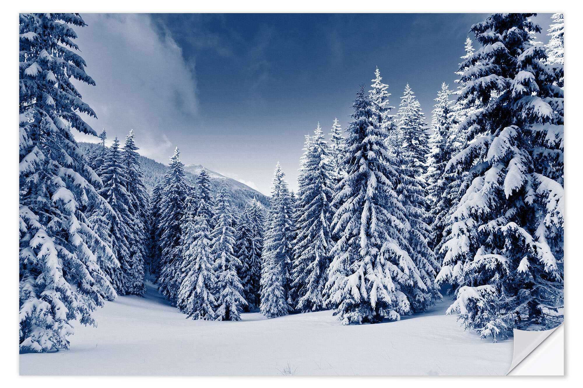 Posterlounge Wandfolie Editors Choice, Winterlandschaft mit schneebedeckten Bäumen, Fotografie