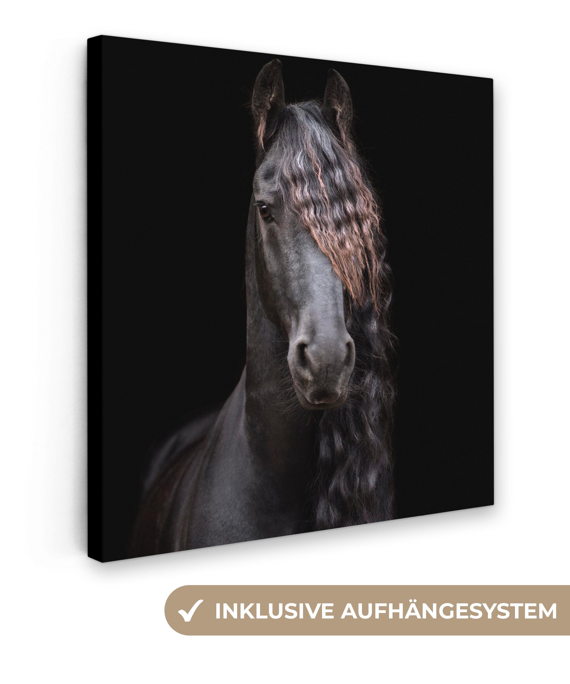 OneMillionCanvasses® Leinwandbild Pferde - Friesisch - günstig online kaufen