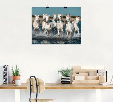 Artland Wandbild Camargue Pferde galoppieren am Strand, Haustiere (1 St), als Alubild, Outdoorbild, Leinwandbild, Poster, Wandaufkleber