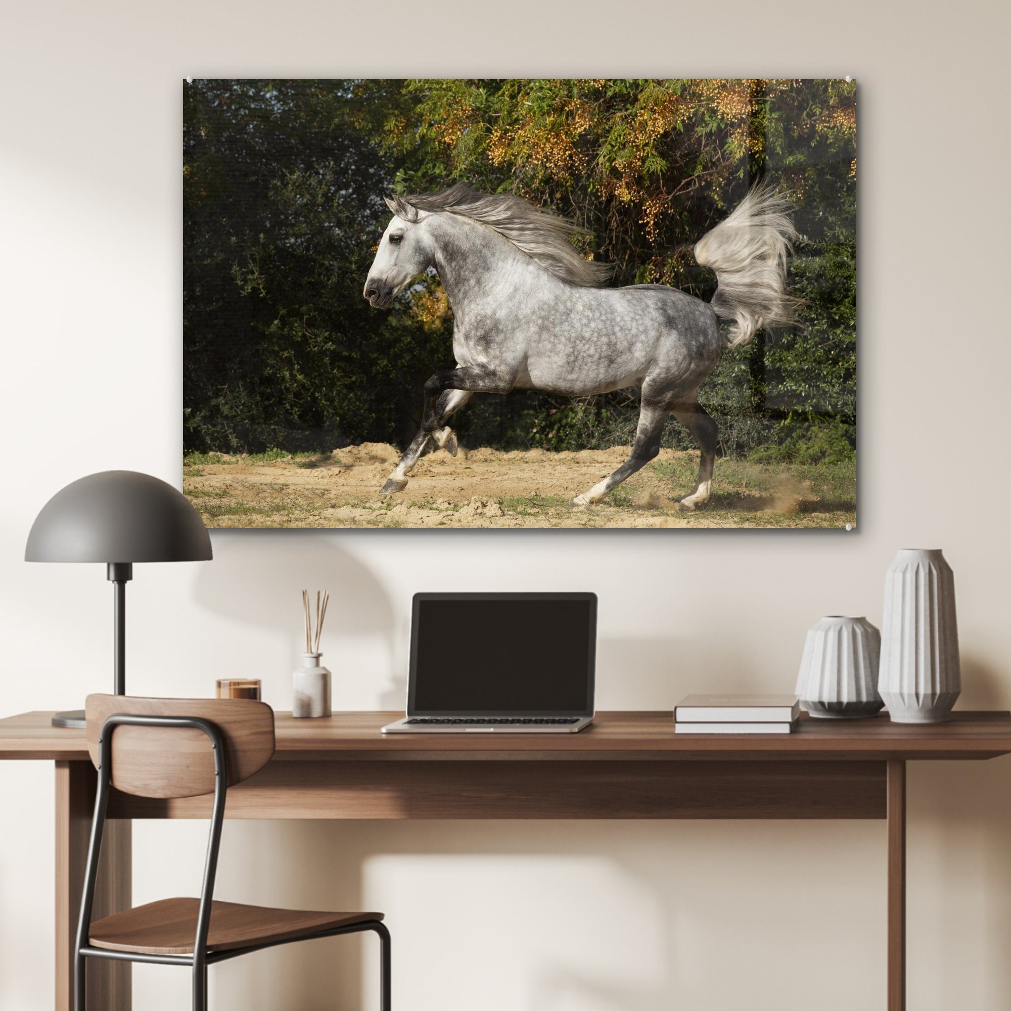- Wohnzimmer Pferd Acrylglasbilder Gras, MuchoWow St), Weiß Schlafzimmer (1 Acrylglasbild Andalusier - - &