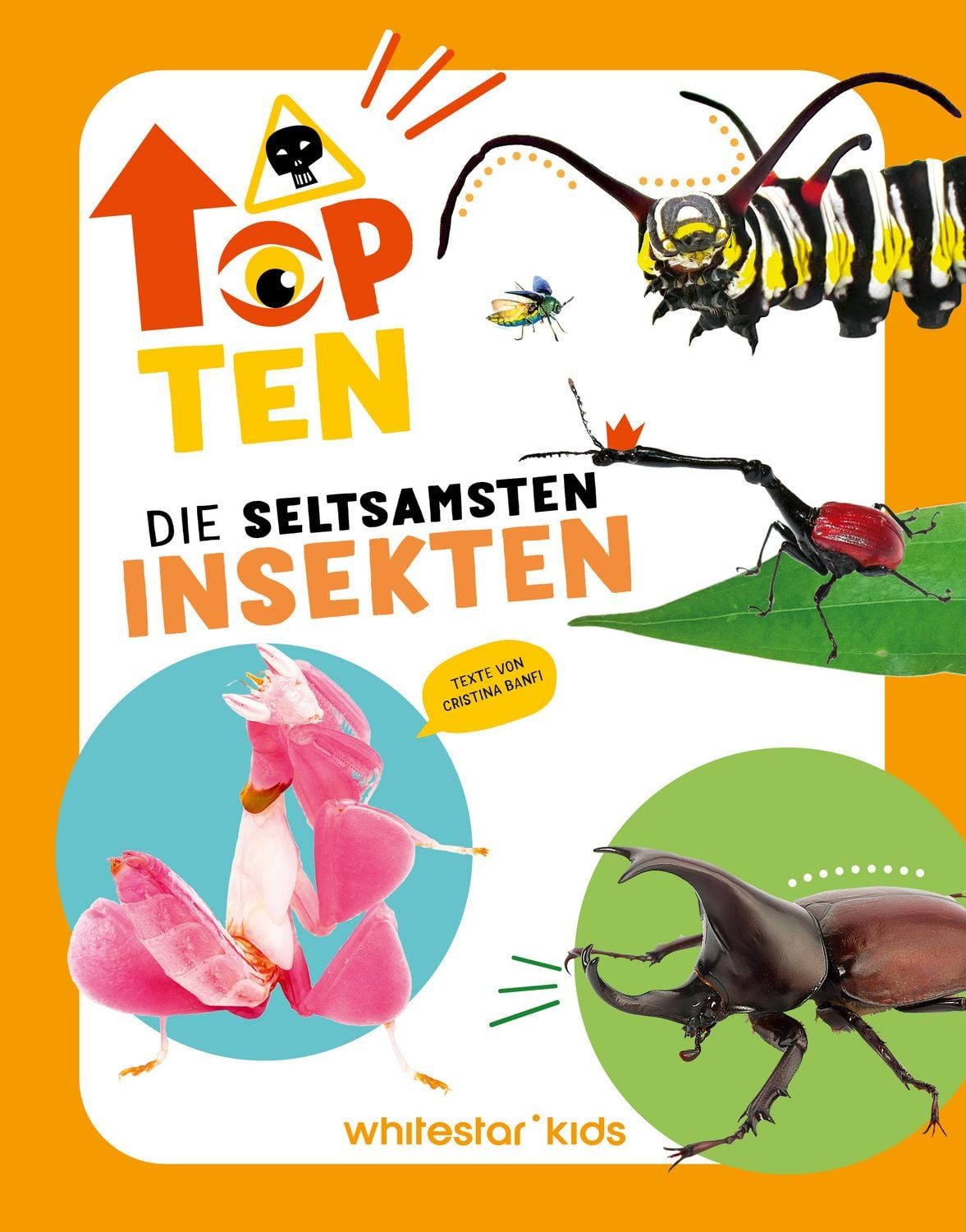Top Ten die seltsamsten Insekten / diverse