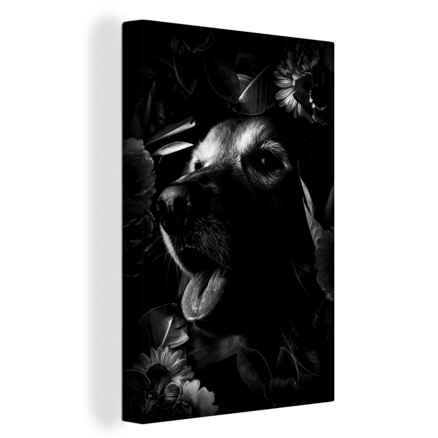 OneMillionCanvasses® Leinwandbild Botanischer Hund auf dunklem Hintergrund - schwarz und weiß, (1 St), Leinwandbild fertig bespannt inkl. Zackenaufhänger, Gemälde, 20x30 cm