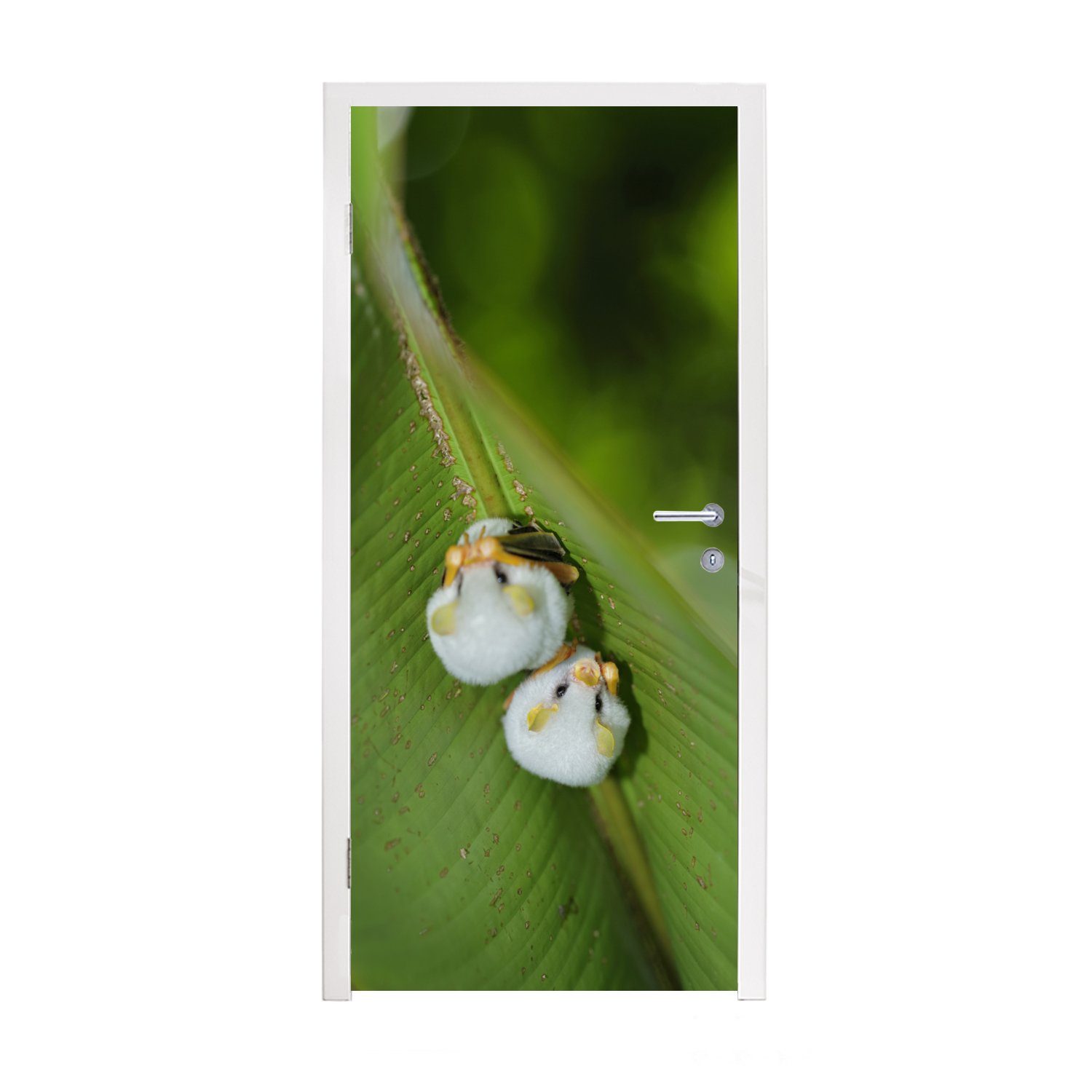MuchoWow Türtapete Weiße Fledermäuse auf grünem Blatt, Matt, bedruckt, (1 St), Fototapete für Tür, Türaufkleber, 75x205 cm