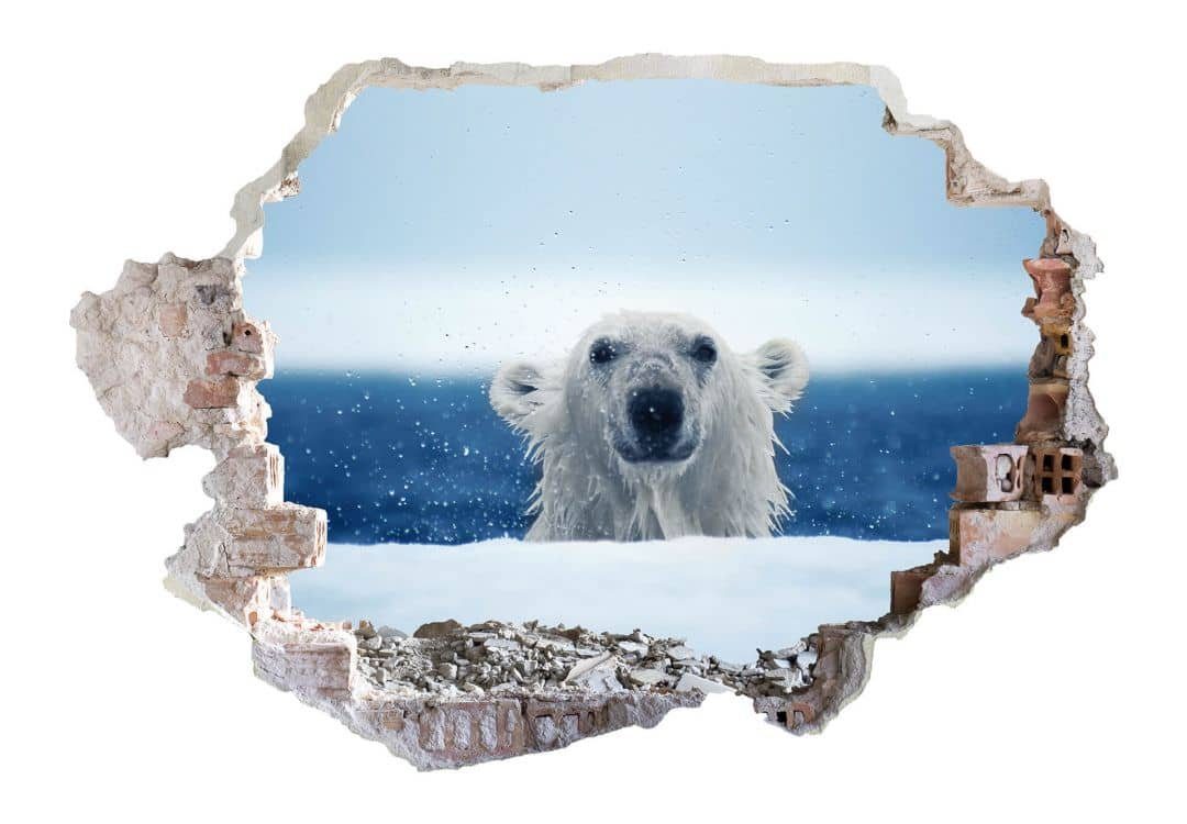 K&L Wall Art Wandtattoo 3D Wandtattoo National Geographic Nordpol Tiere Frecher Baby Eisbär, Mauerdurchbruch Wandbild selbstklebend