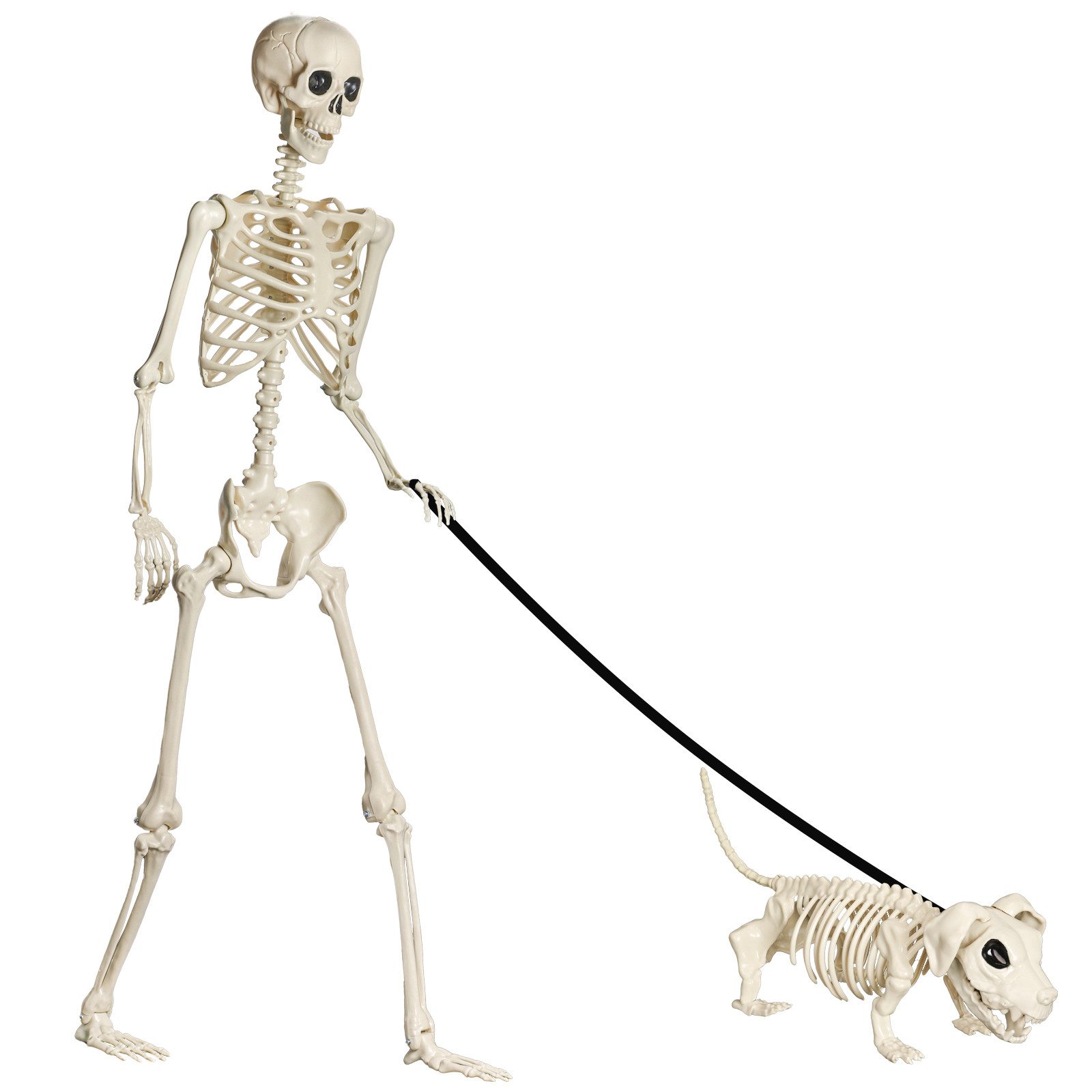 Lumkudos Dekoobjekt Halloween Skelett 165CM, Lebensgroßes Realistisches Ganzkörperskelett (1 St), mit beweglichen Gelenken für Party Requisiten Gruseliger Friedhof