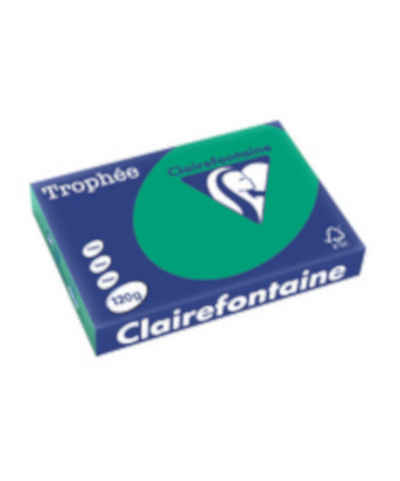 CLAIREFONTAINE Drucker- und Kopierpapier Clairefontaine Kopierpapier Trophée Intensiv A4 120g Tannengrün 1224C