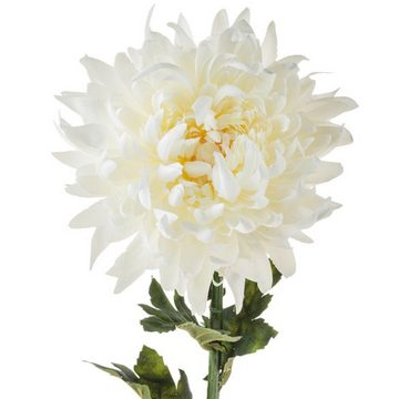Kunstblume Chrysanthemen Kunstblumen 64 cm 4 Farben Chrysantheme, matches21 HOME & HOBBY, Höhe 64 cm