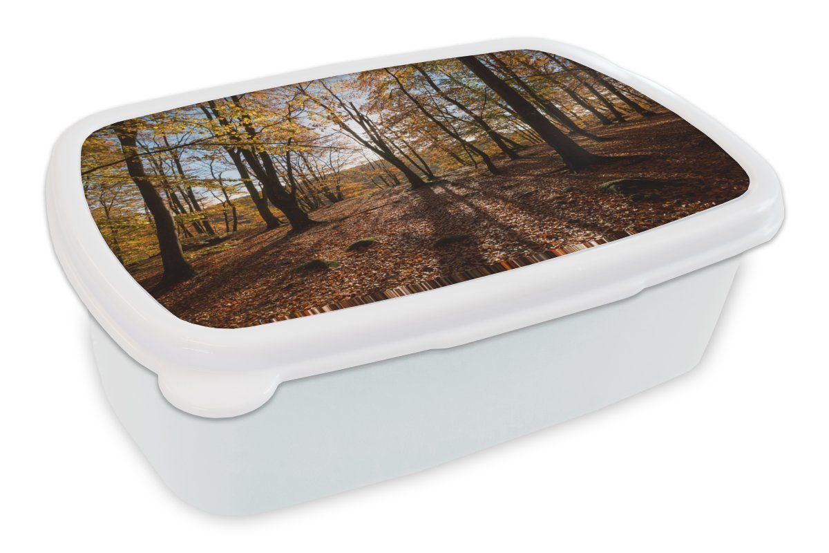 MuchoWow Lunchbox Herbstfarben in den Wäldern des Nationalparks Söderåsen in Schweden, Kunststoff, (2-tlg), Brotbox für Kinder und Erwachsene, Brotdose, für Jungs und Mädchen weiß