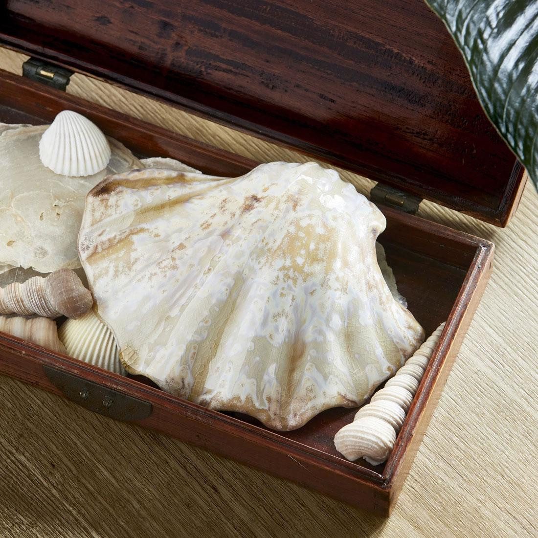 Rivièra Maison Skulptur Dekorationsobjekt Muschel Loulé günstig online kaufen