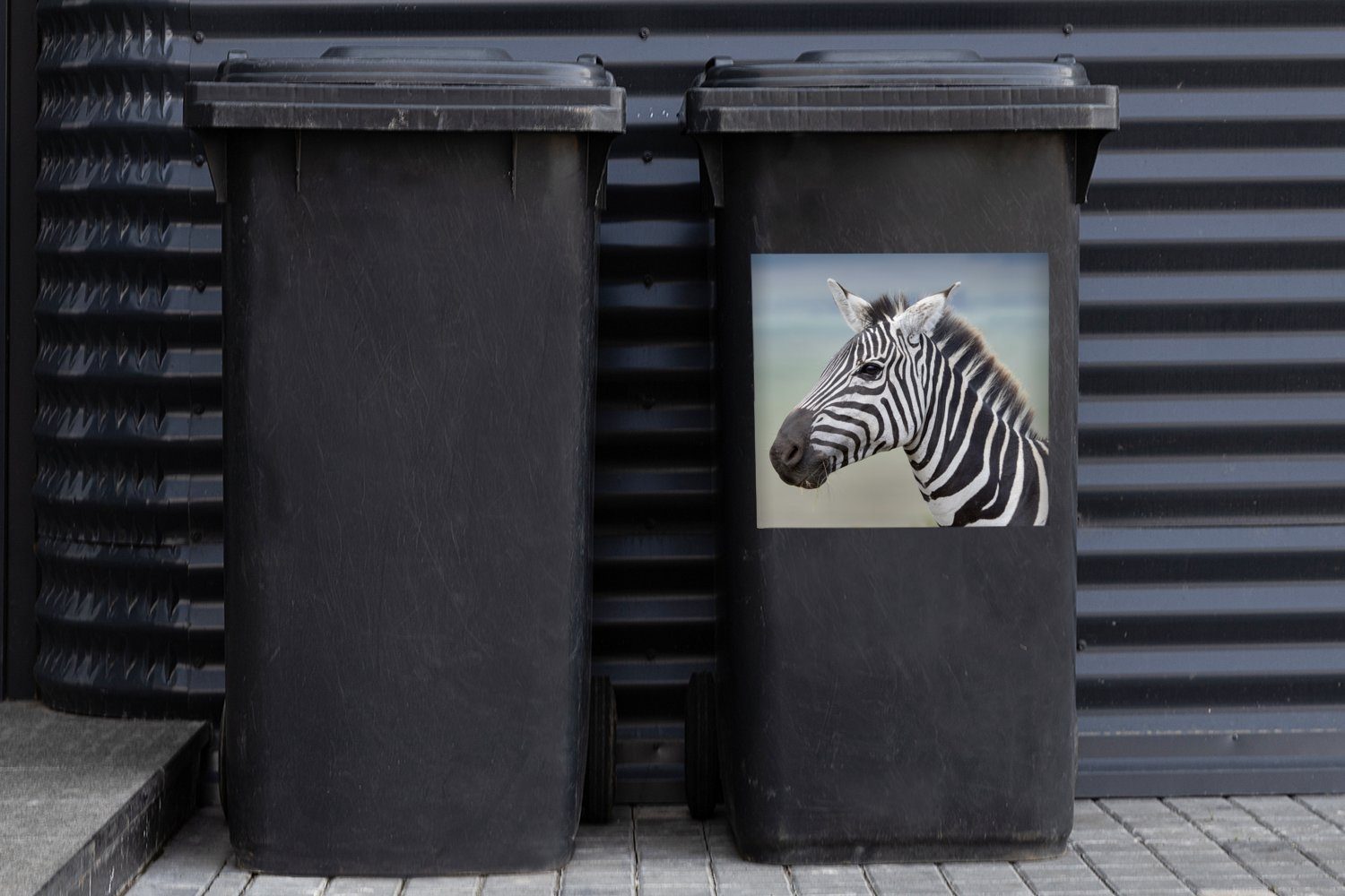 Container, Mülleimer-aufkleber, Abfalbehälter (1 Zebra Nahaufnahme Mülltonne, MuchoWow St), Sticker, Wandsticker