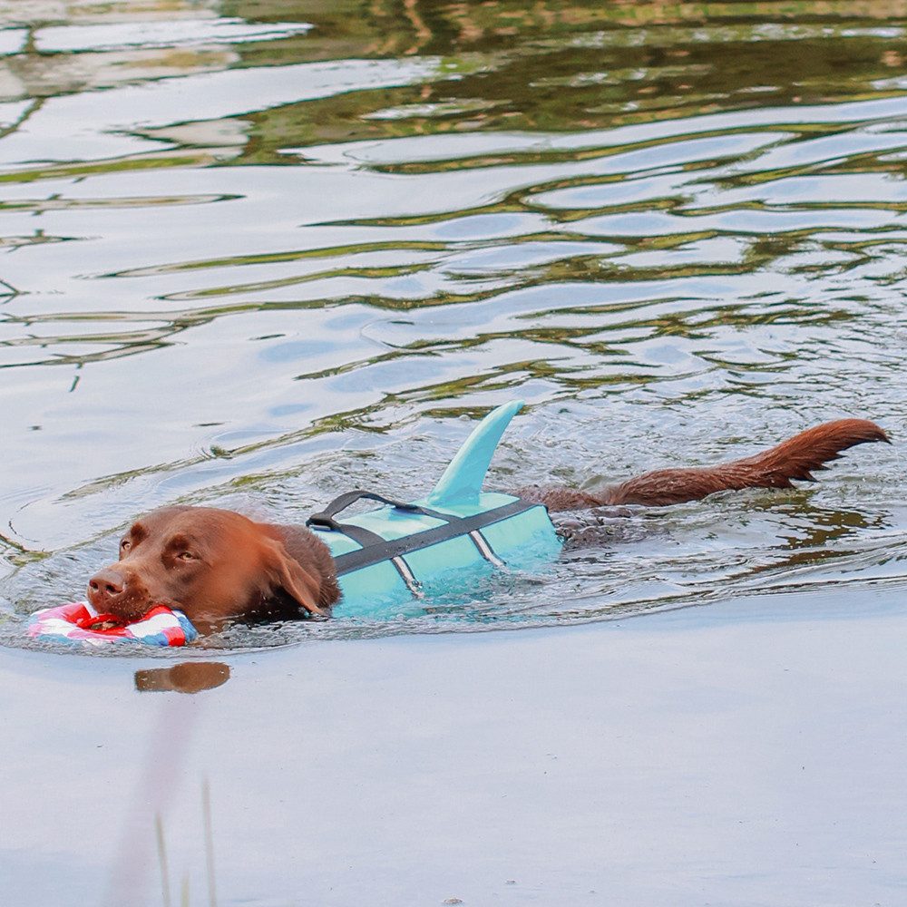 Nobby Hundeweste Schwimmhilfe "Sharki"